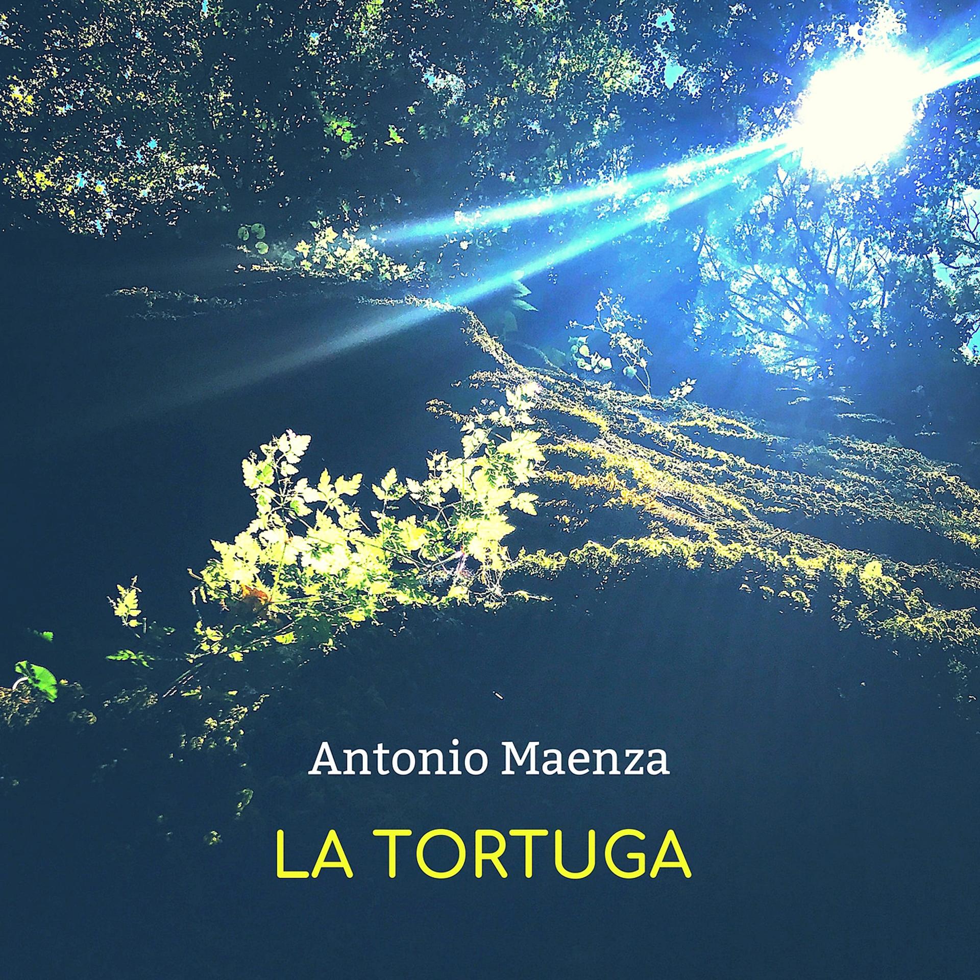 Постер альбома La tortuga
