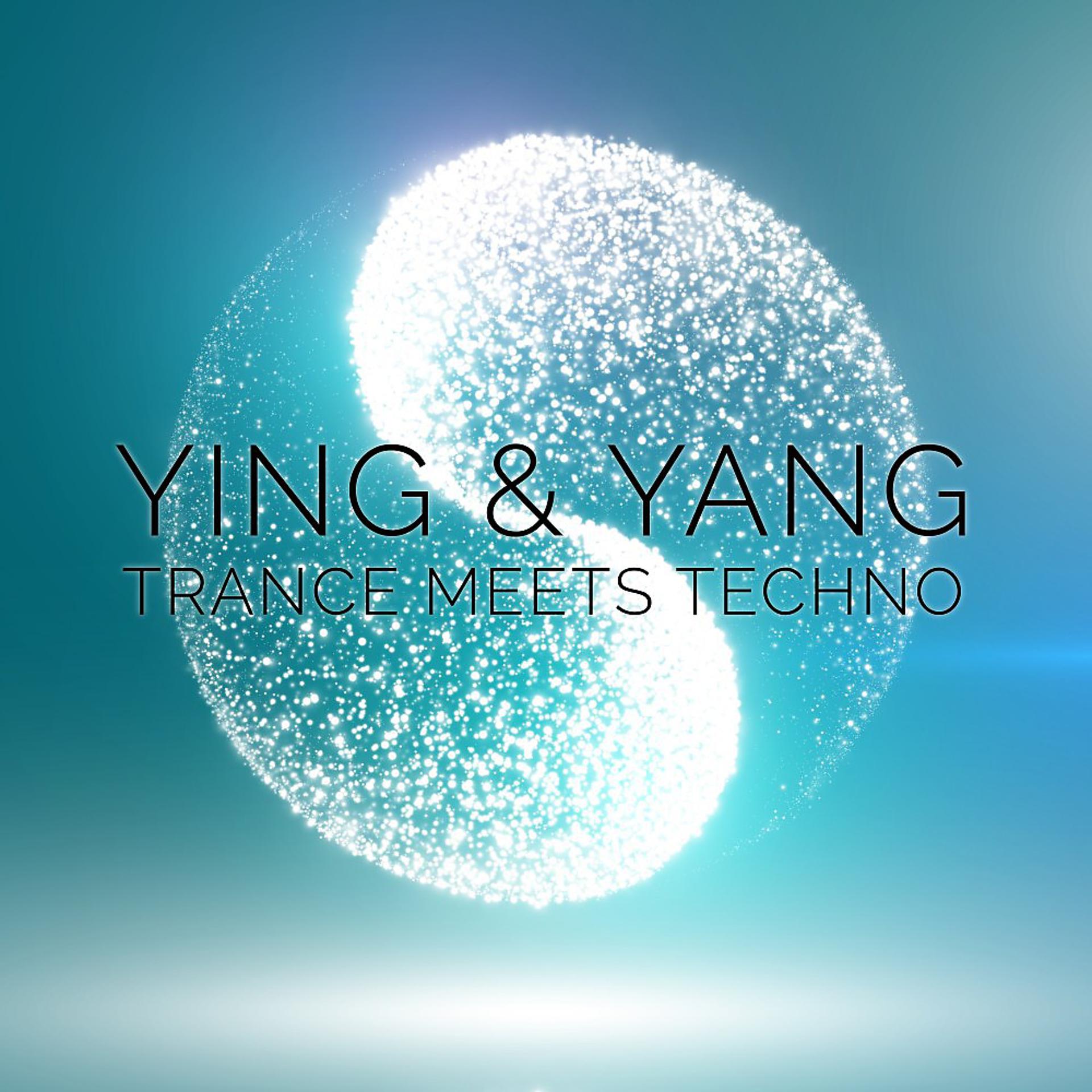 Постер альбома Ying & Yang: Trance Meets Techno