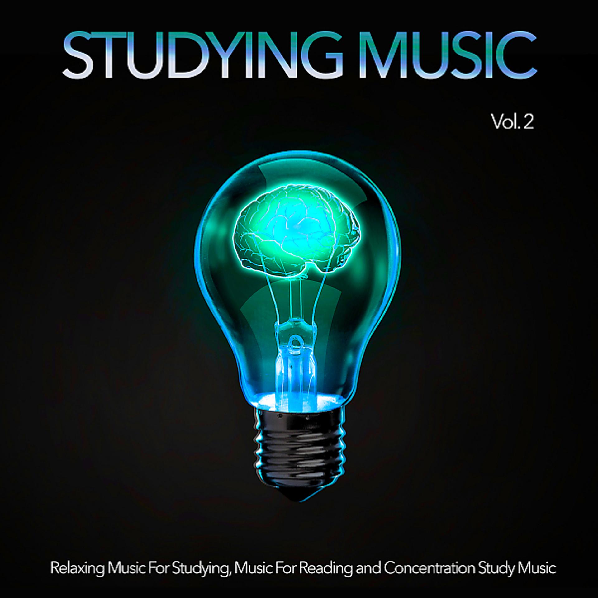 Постер альбома Studying Music: Relaxing Music For Studying, Music For Reading and Concentration Study Music, Vol. 2