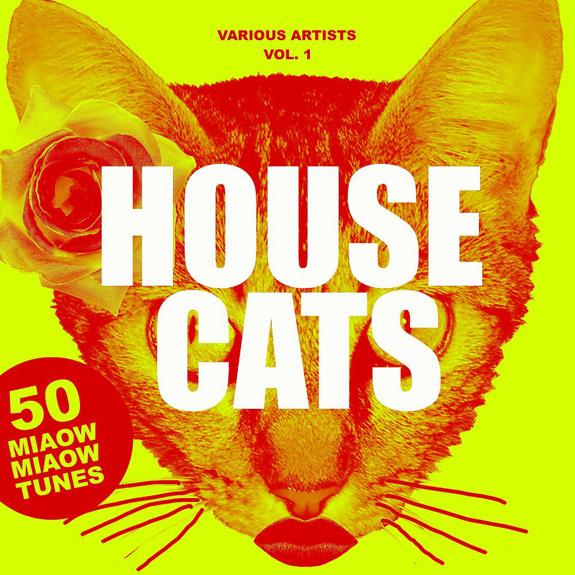 Постер альбома House Cats, Vol. 1 (50 Miaow Miaow Tunes)
