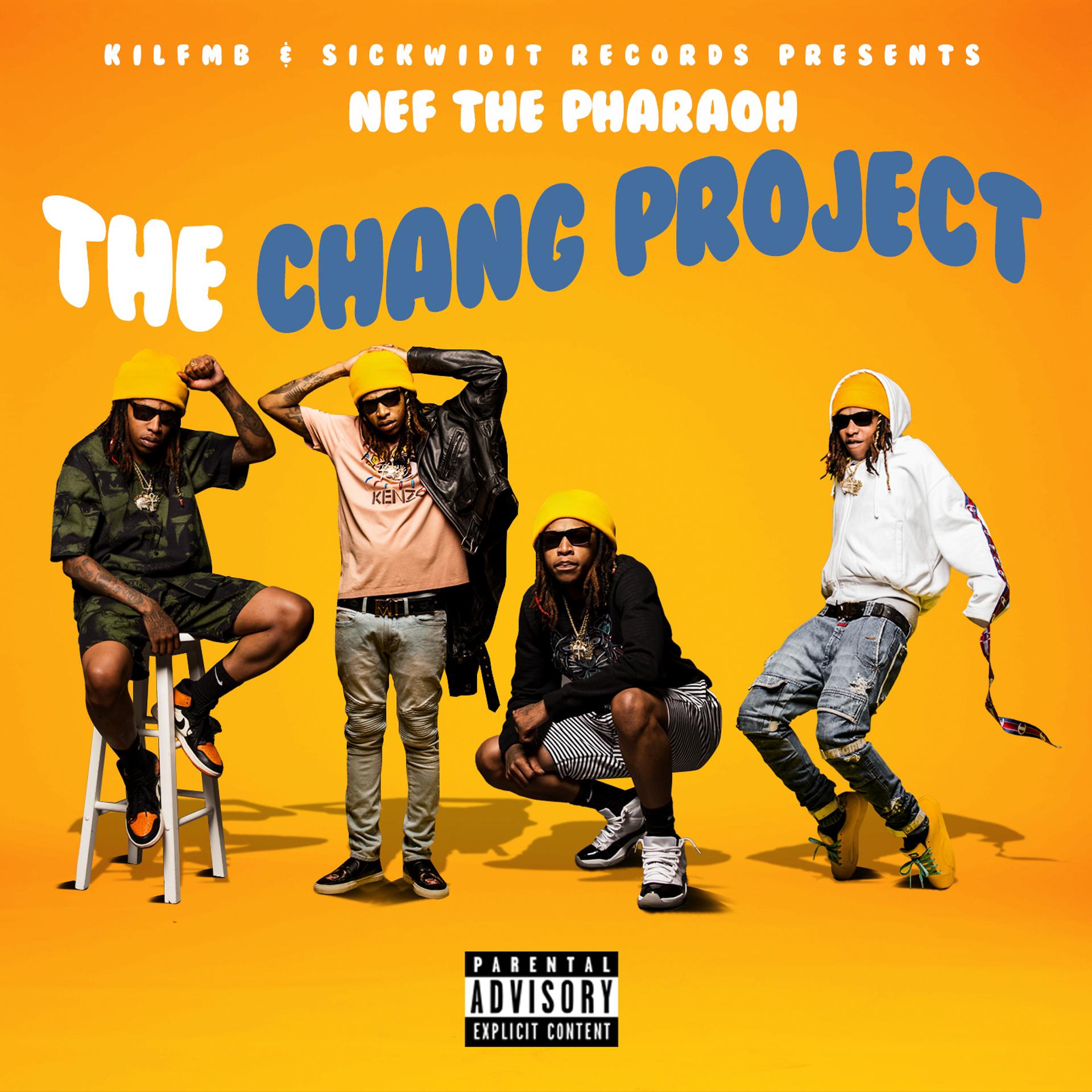 Постер альбома The Chang Project