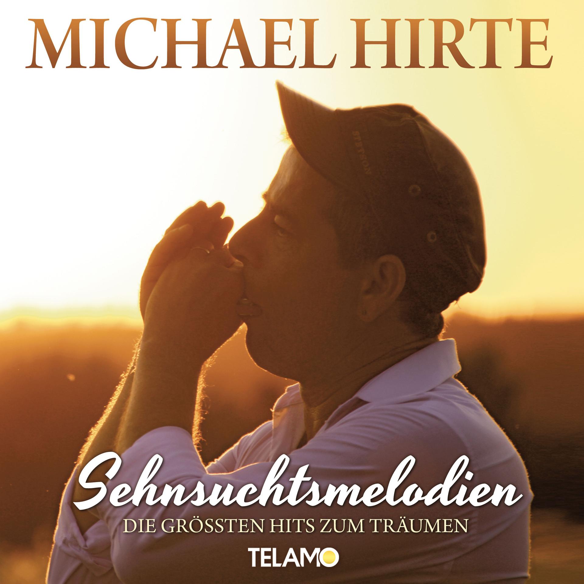 Постер альбома Sehnsuchtsmelodien - Die größten Hits zum Träumen