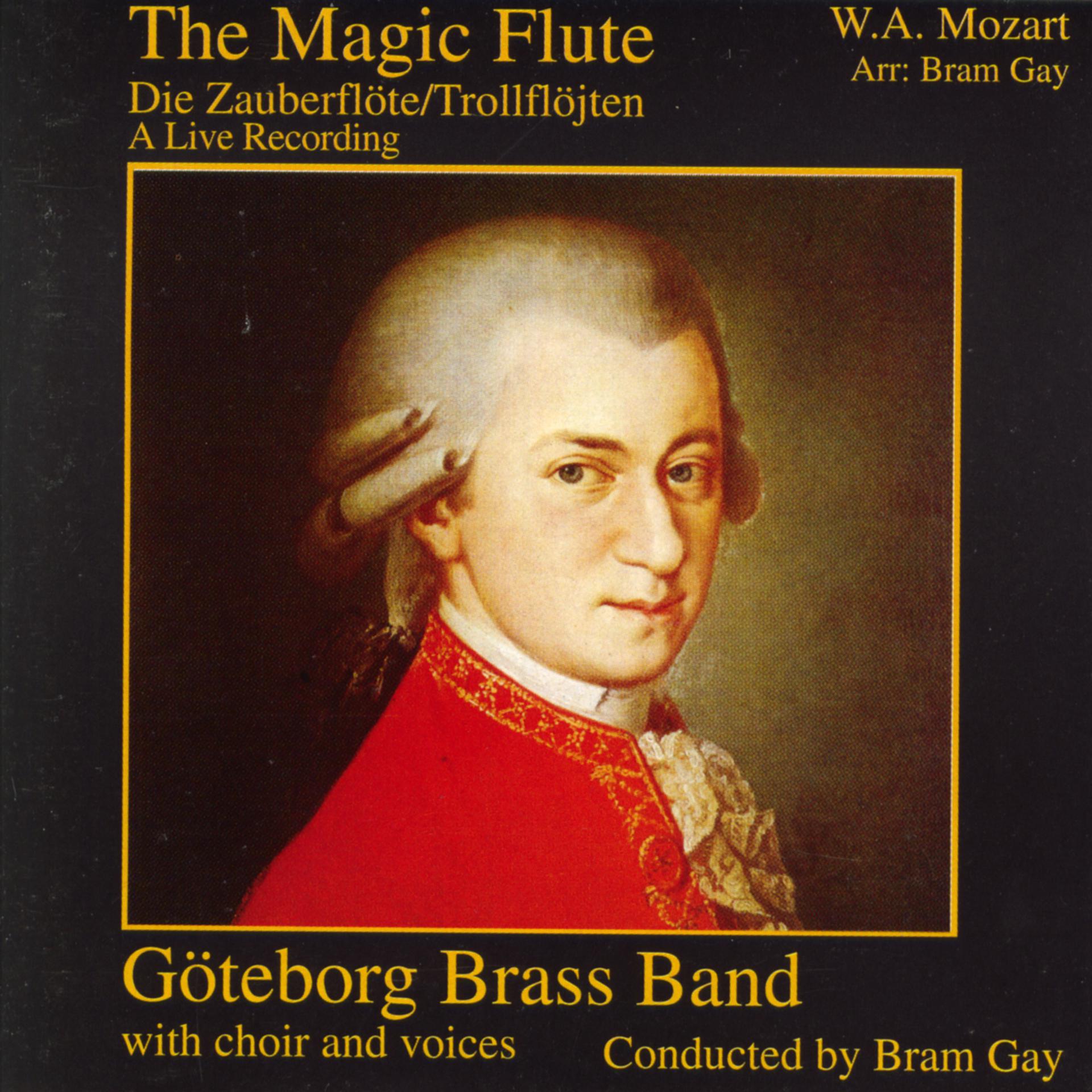 Постер альбома The Magic Flute
