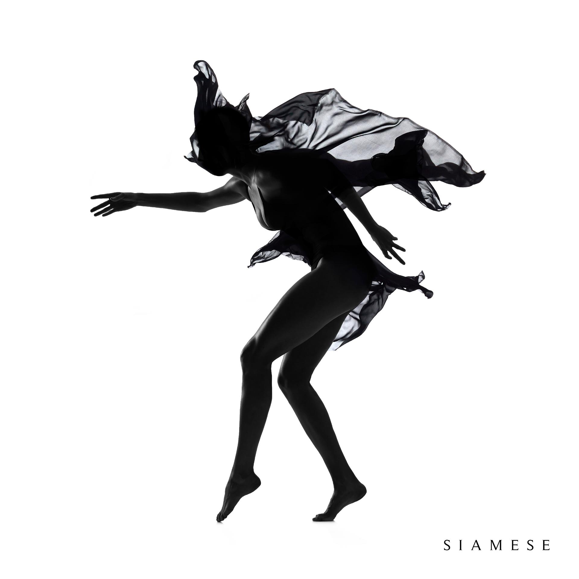 Постер альбома Siamese