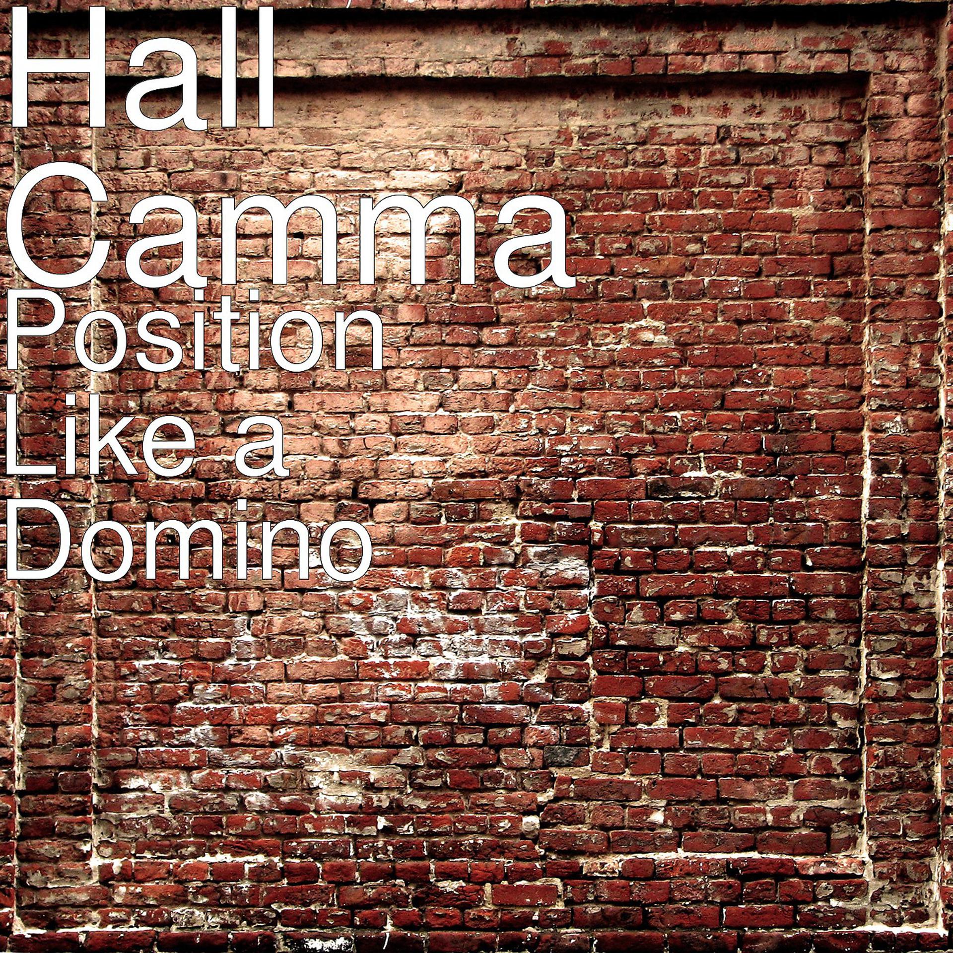 Постер альбома Position Like a Domino