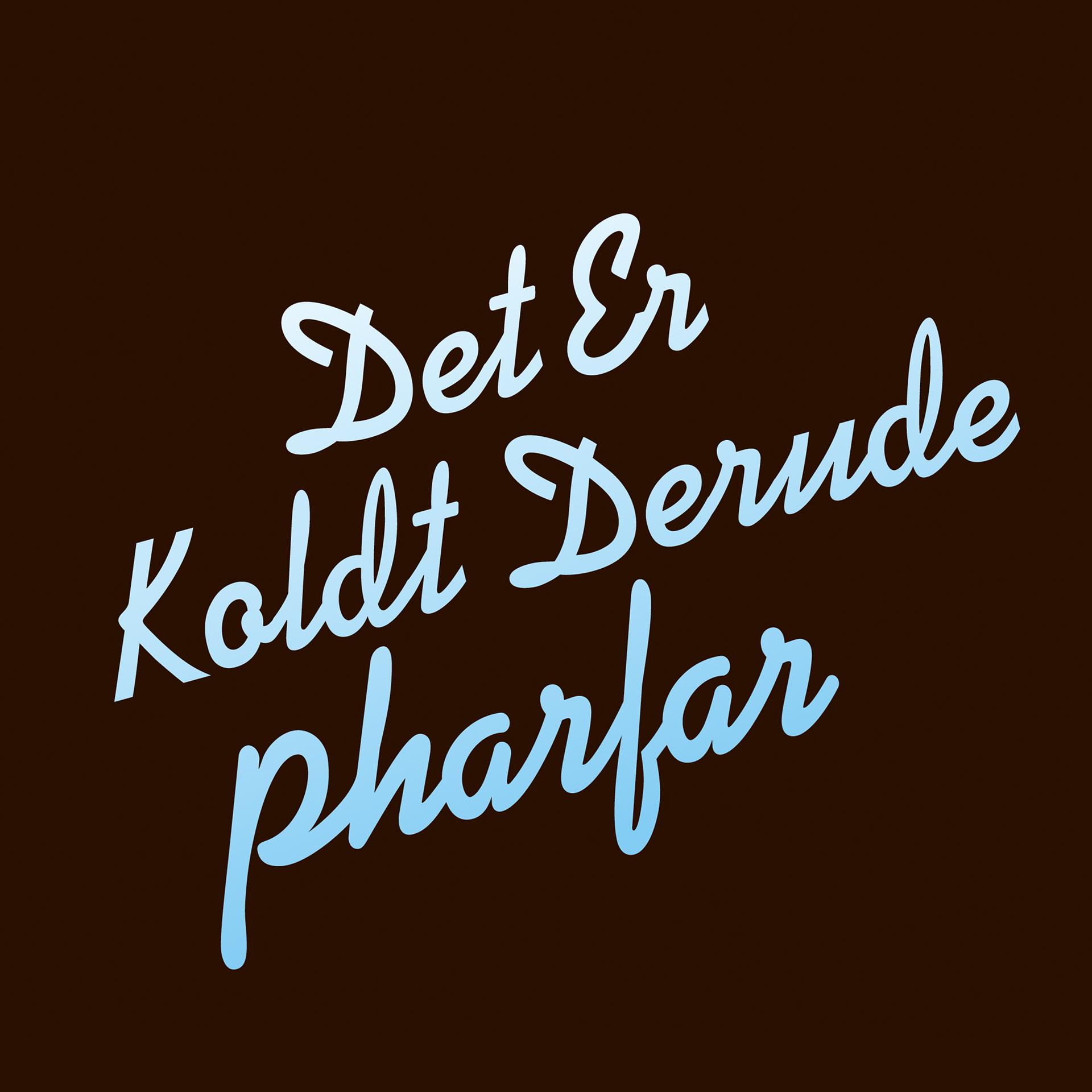 Постер альбома Det Er Koldt Derude