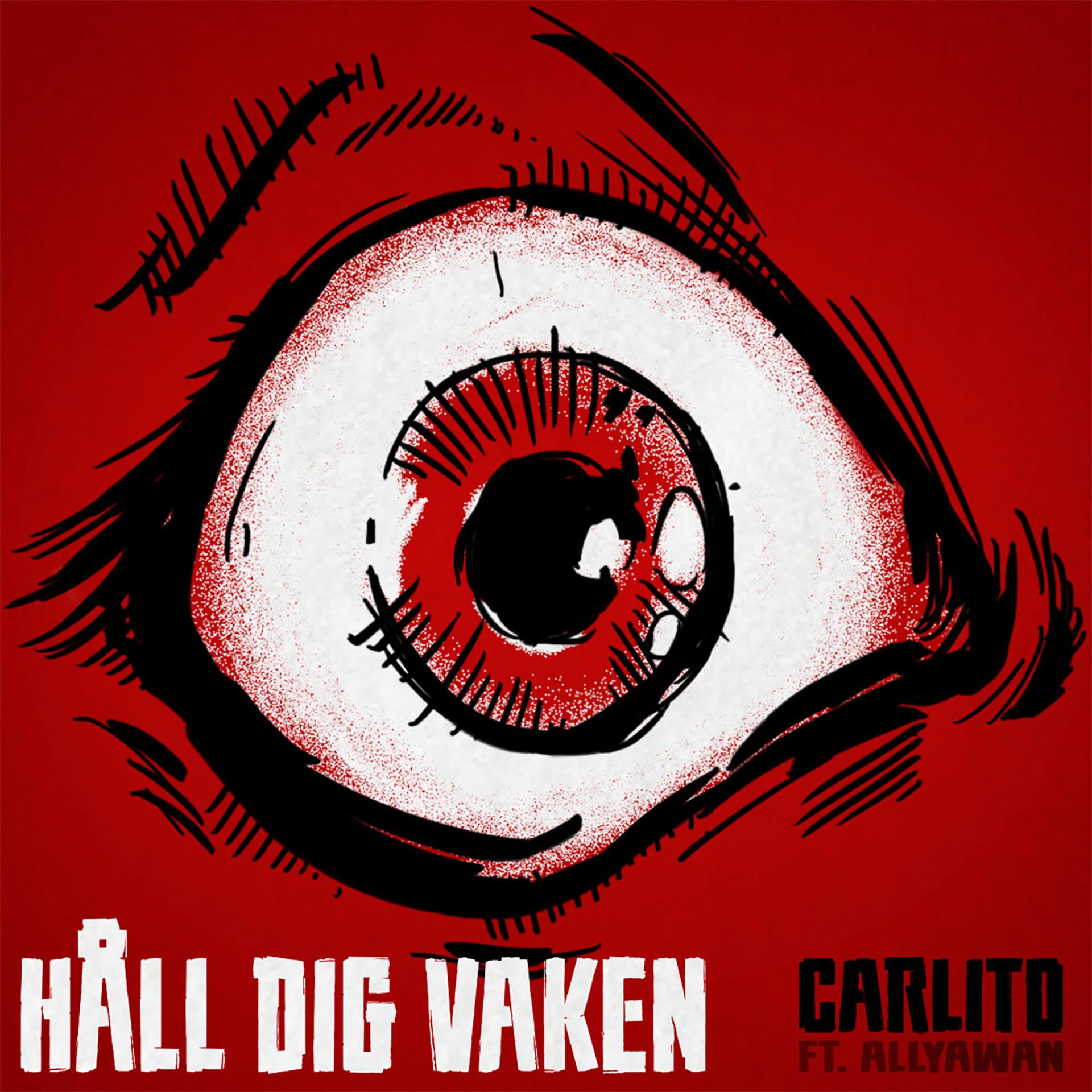 Постер альбома Håll dig Vaken