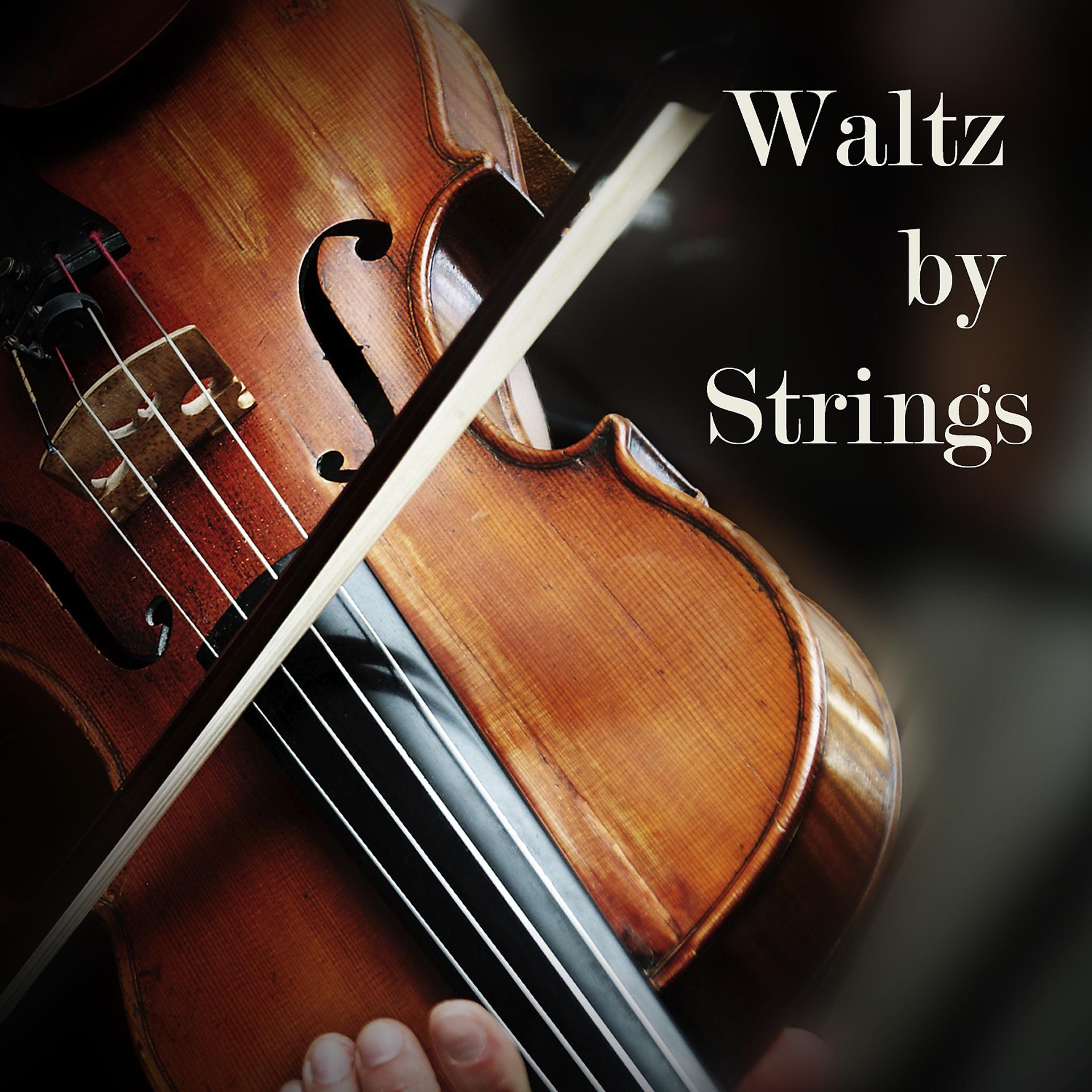 Постер альбома Waltz by Strings
