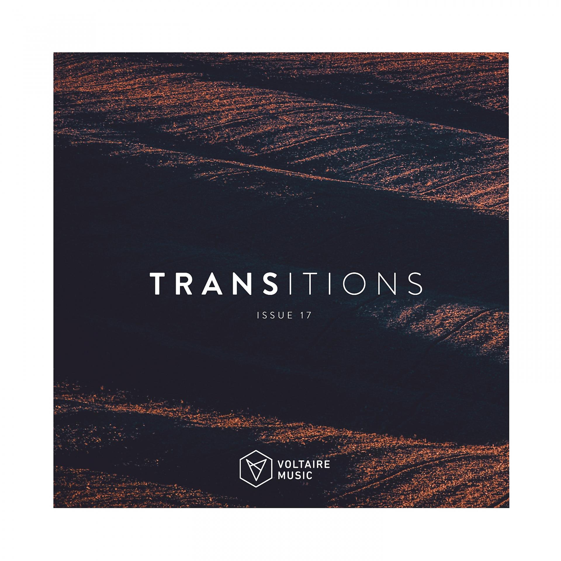 Постер альбома Transition Issue 17
