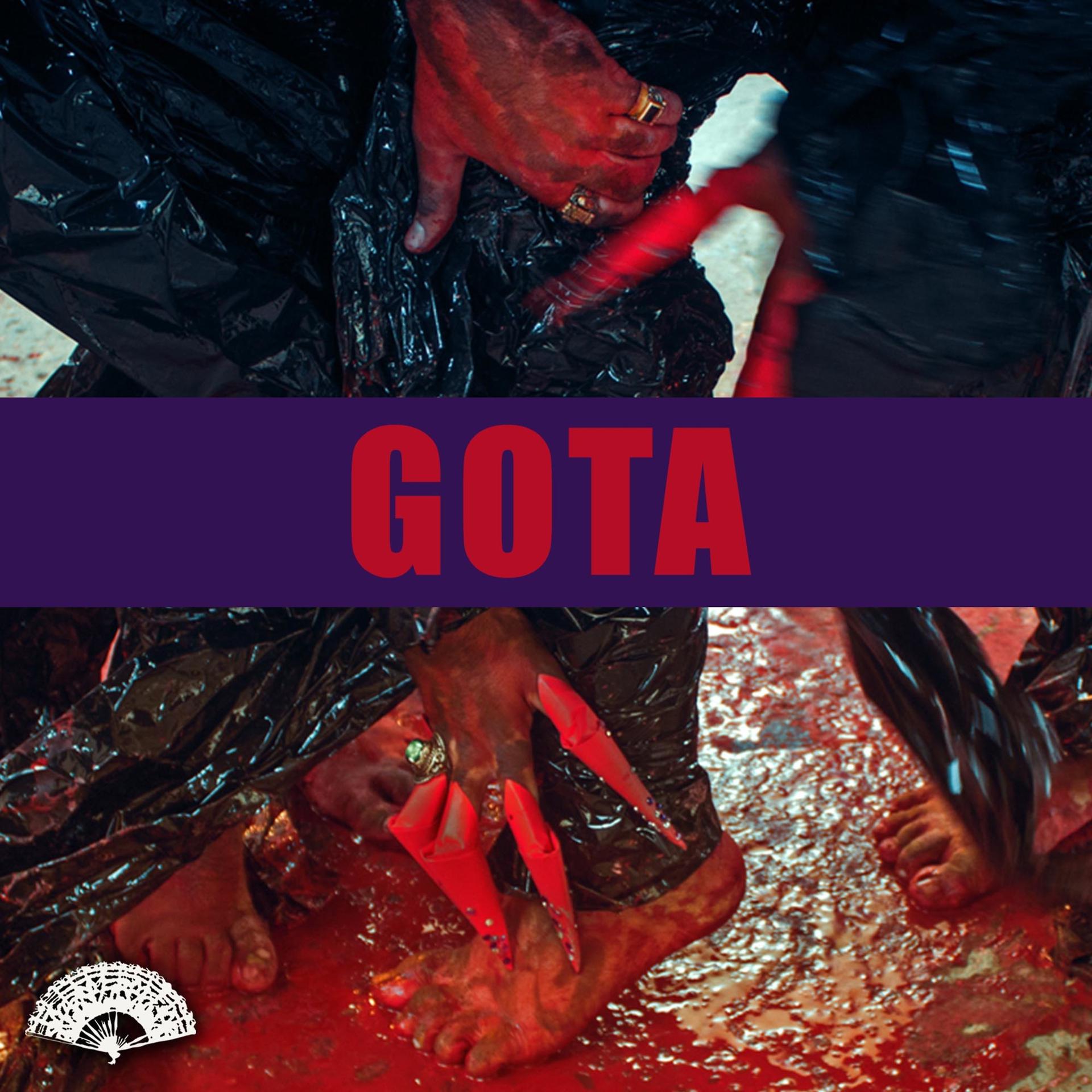 Постер альбома Gota