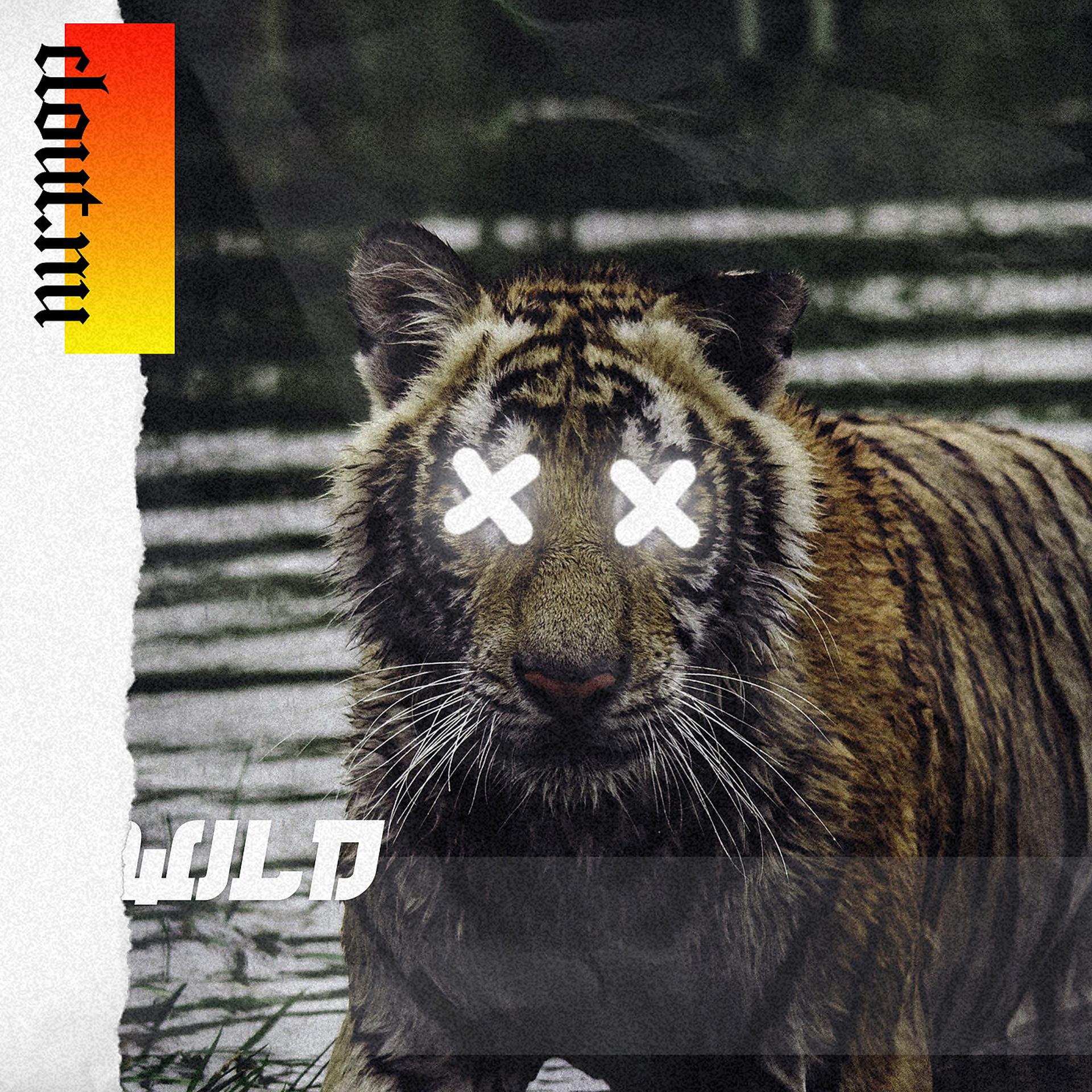 Постер альбома Wild