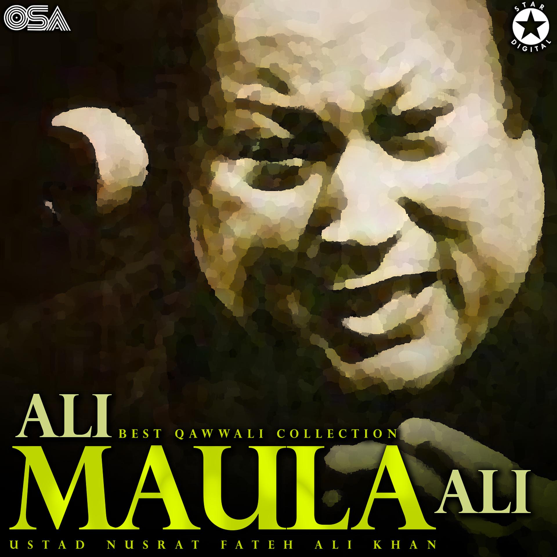 Постер альбома Ali Maula Ali - Best Qawwali Collection
