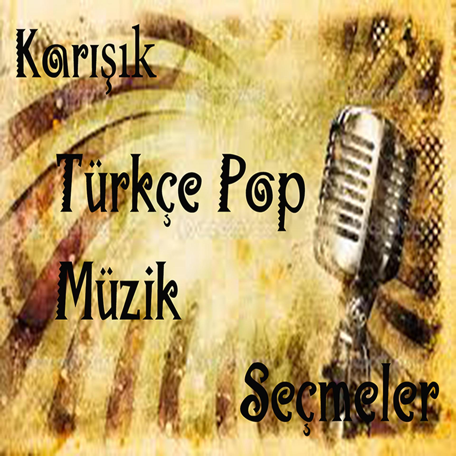 Постер альбома Karışık Türkçe Pop Müzik Seçmeler