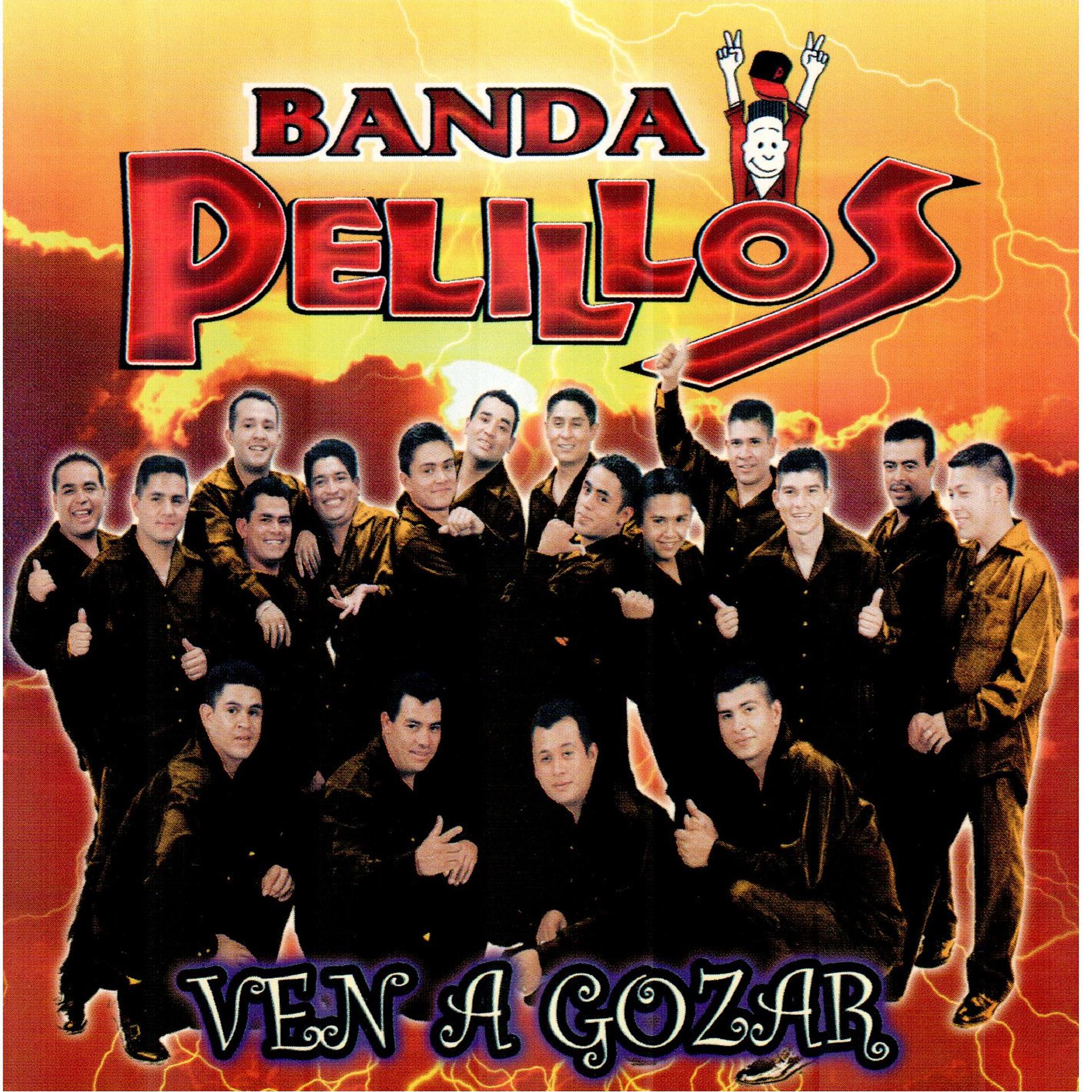 Постер альбома Ven a Gozar