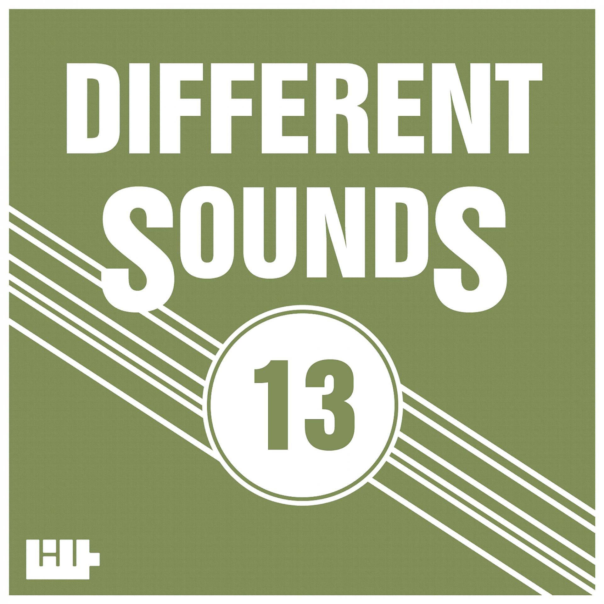 Постер альбома Different Sounds, Vol.13