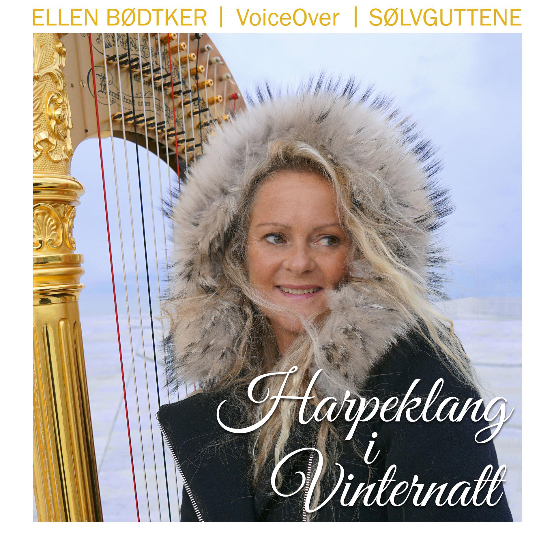 Постер альбома Harpeklang i Vinternatt