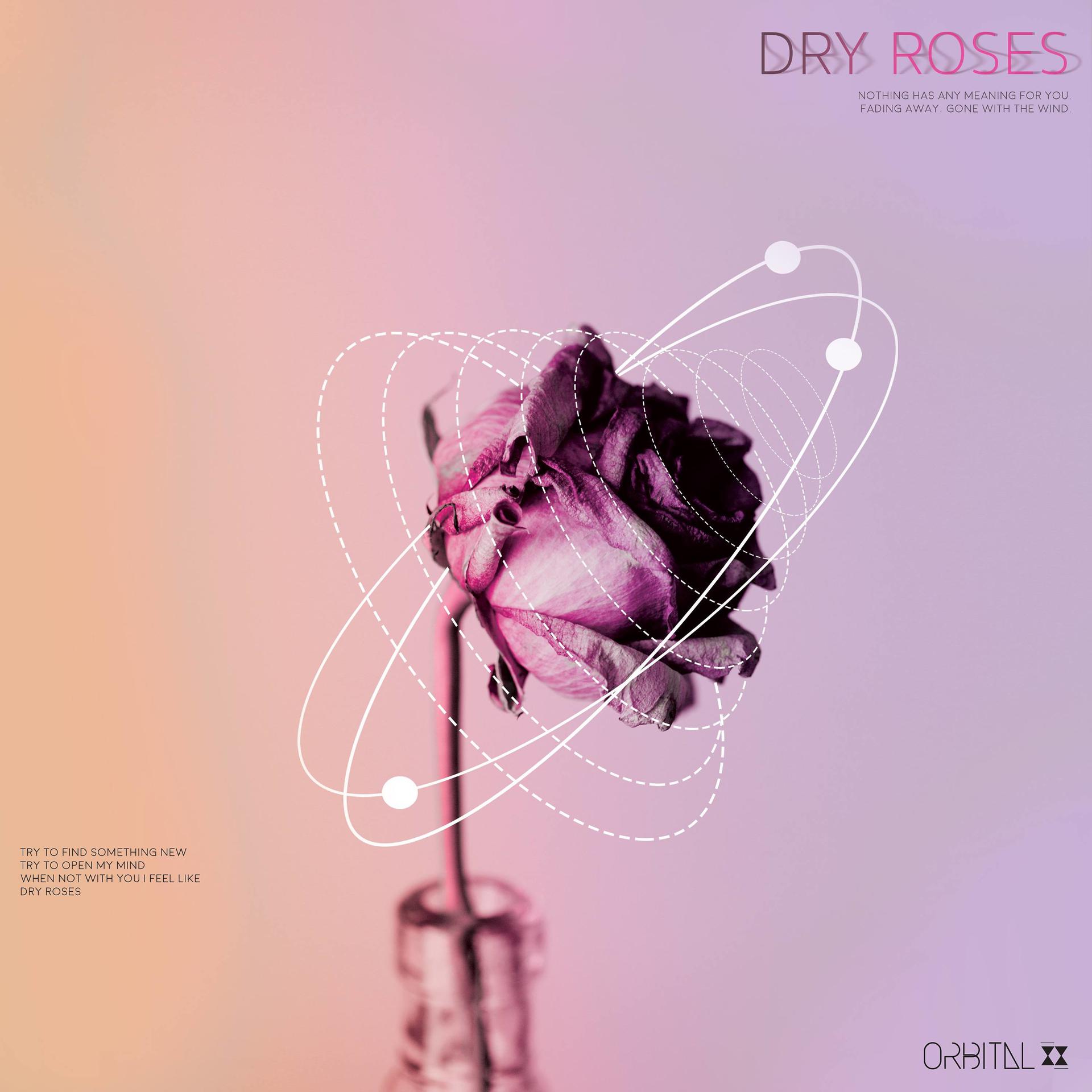 Постер альбома Dry Roses
