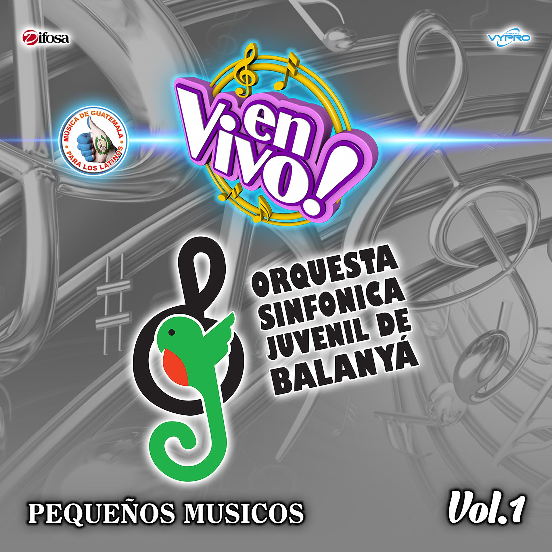 Постер альбома Pequeños Músicos Vol. 1. Música de Guatemala para los Latinos (En Vivo)