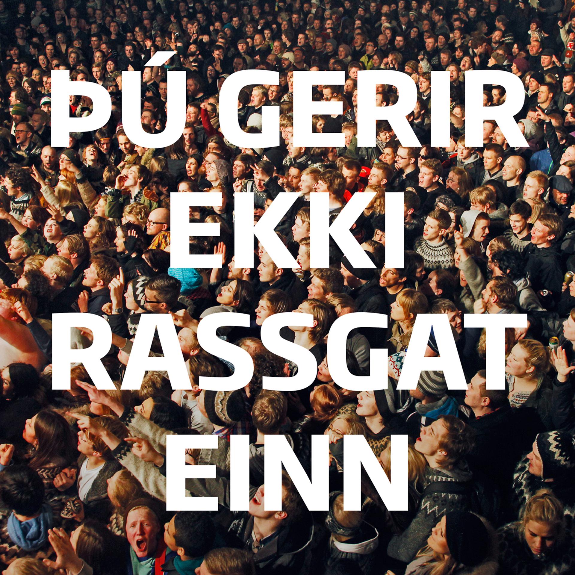 Постер альбома Þú gerir ekki rassgat einn
