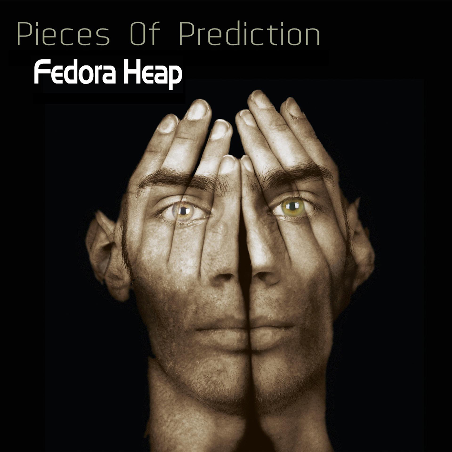 Постер альбома Pieces of Prediction