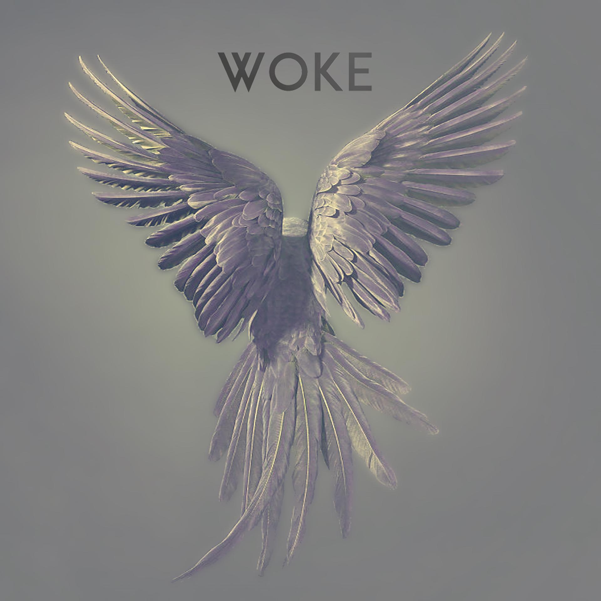 Постер альбома Woke - EP
