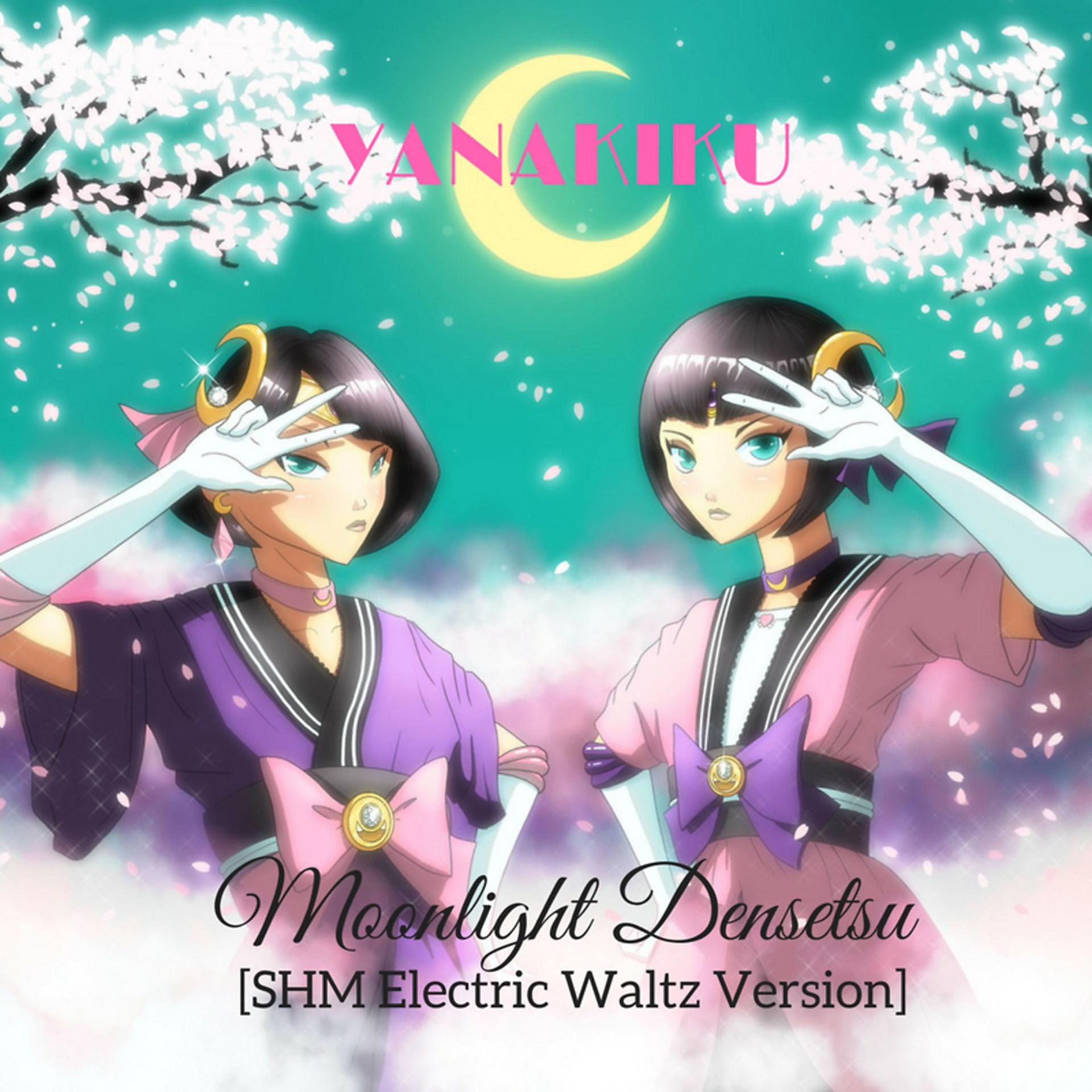 Постер альбома Moonlight Densetsu (Shm Electric Waltz Version)