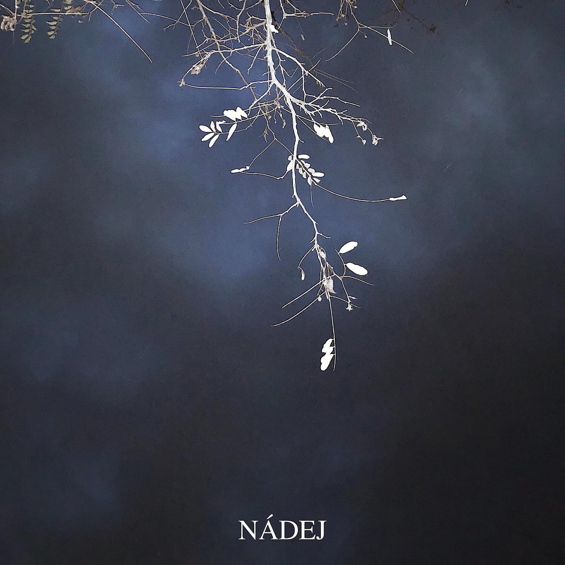 Постер альбома Nadej
