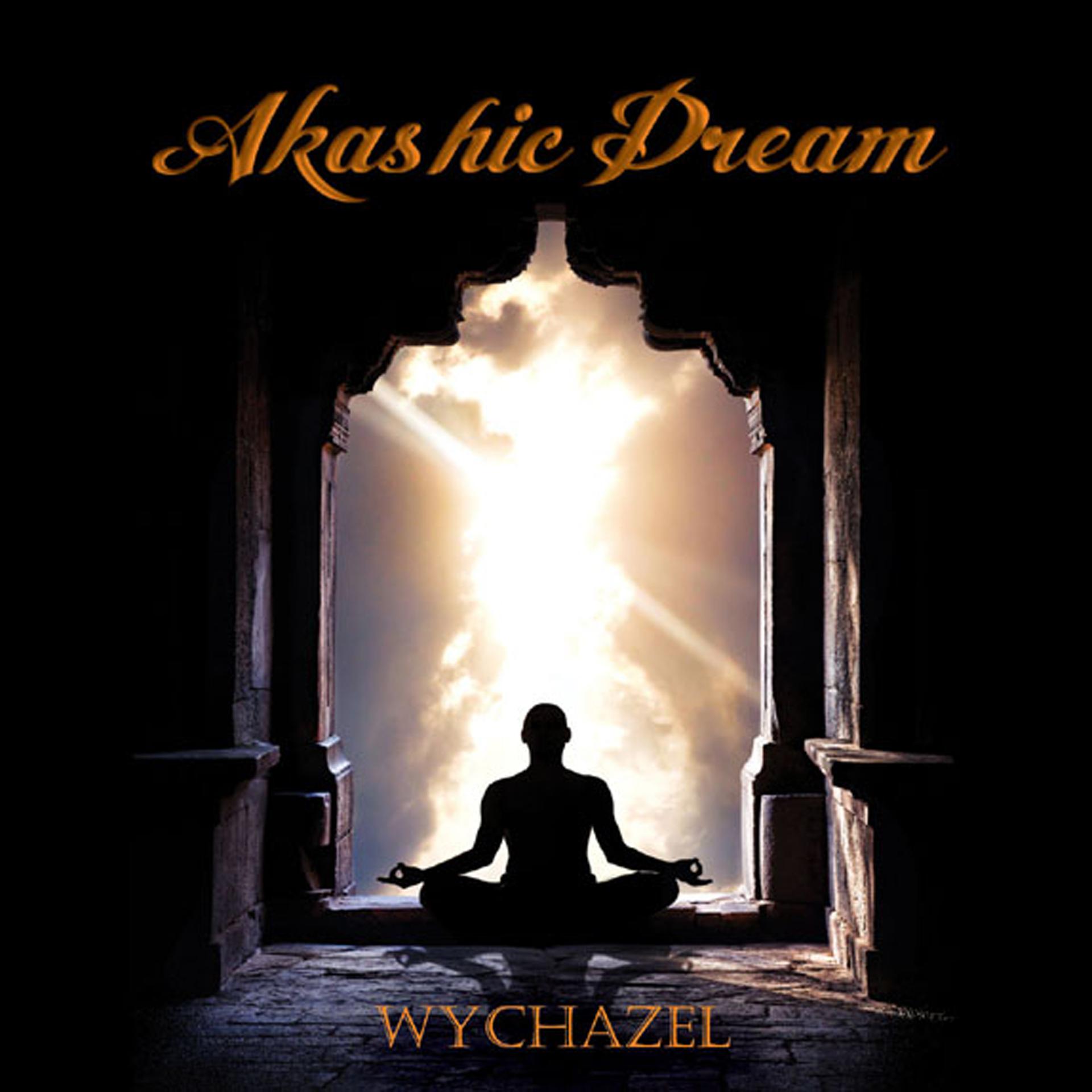 Постер альбома Akashic Dream
