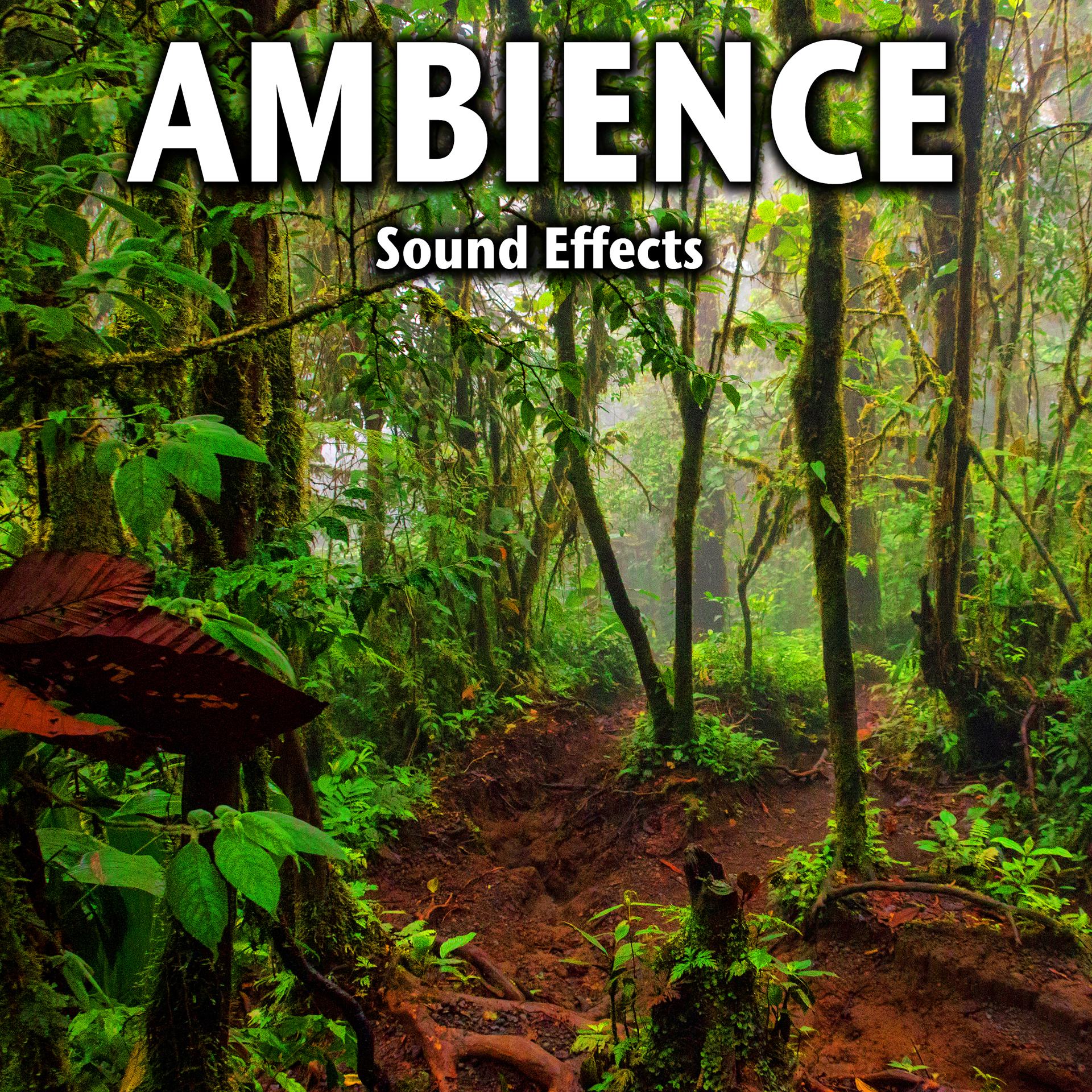 Постер альбома Ambience Sound Effects