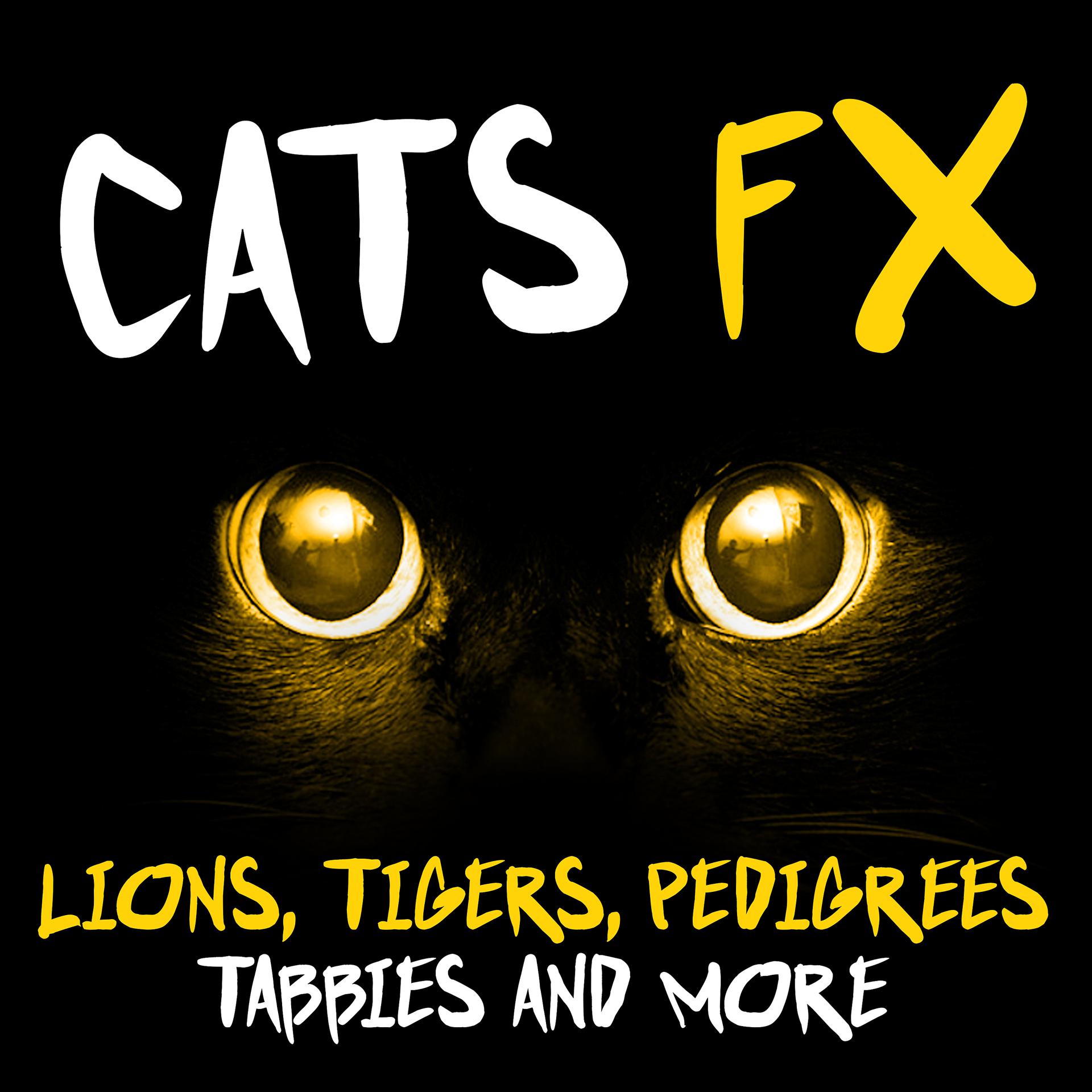 Постер альбома Cats FX - Lions, Tigers, Pedigrees, Tabbies and More