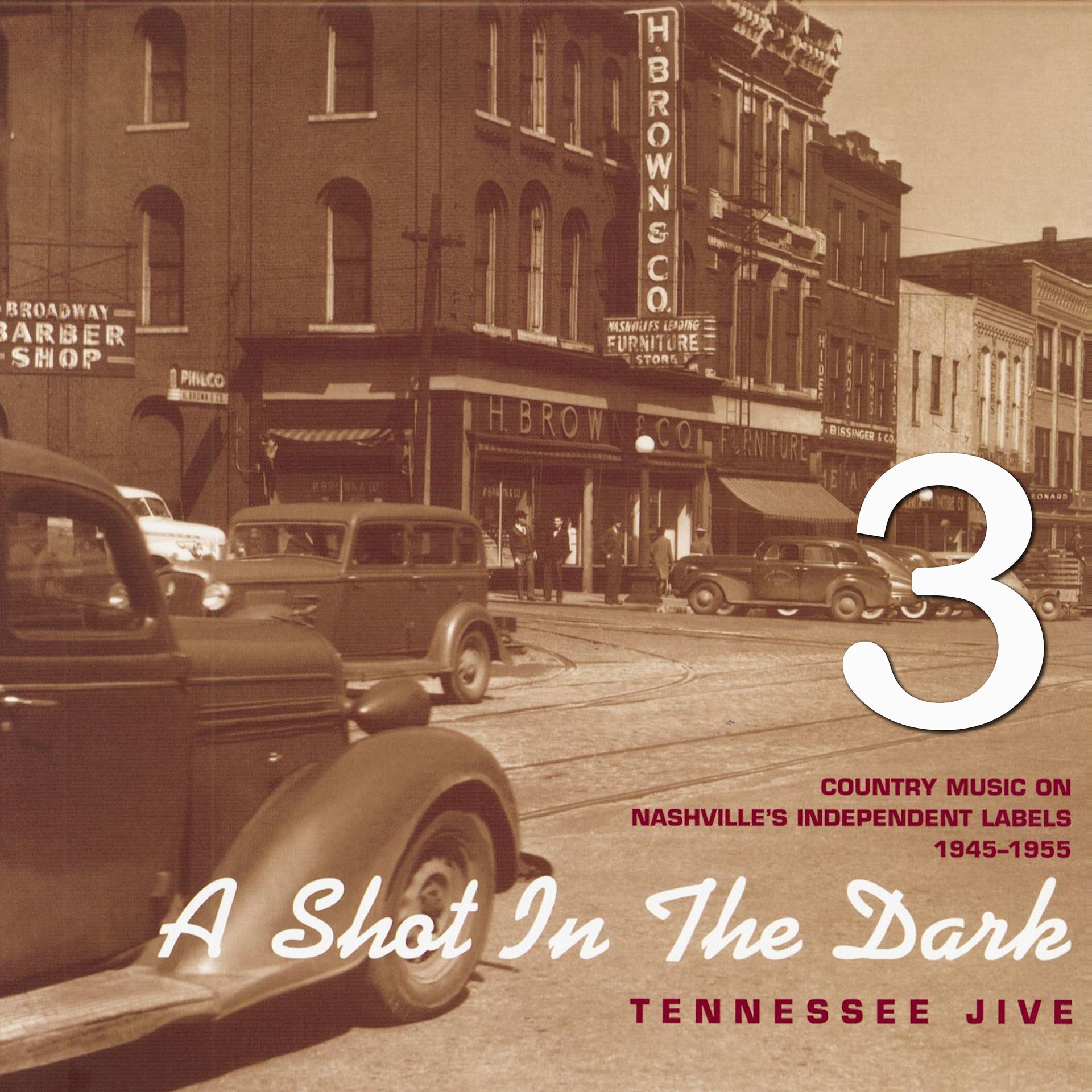 Постер альбома A Shot in the Dark - Tennessee Jive - Country Music on Nashville's Independent Labels 1945-1955, Vol. 3
