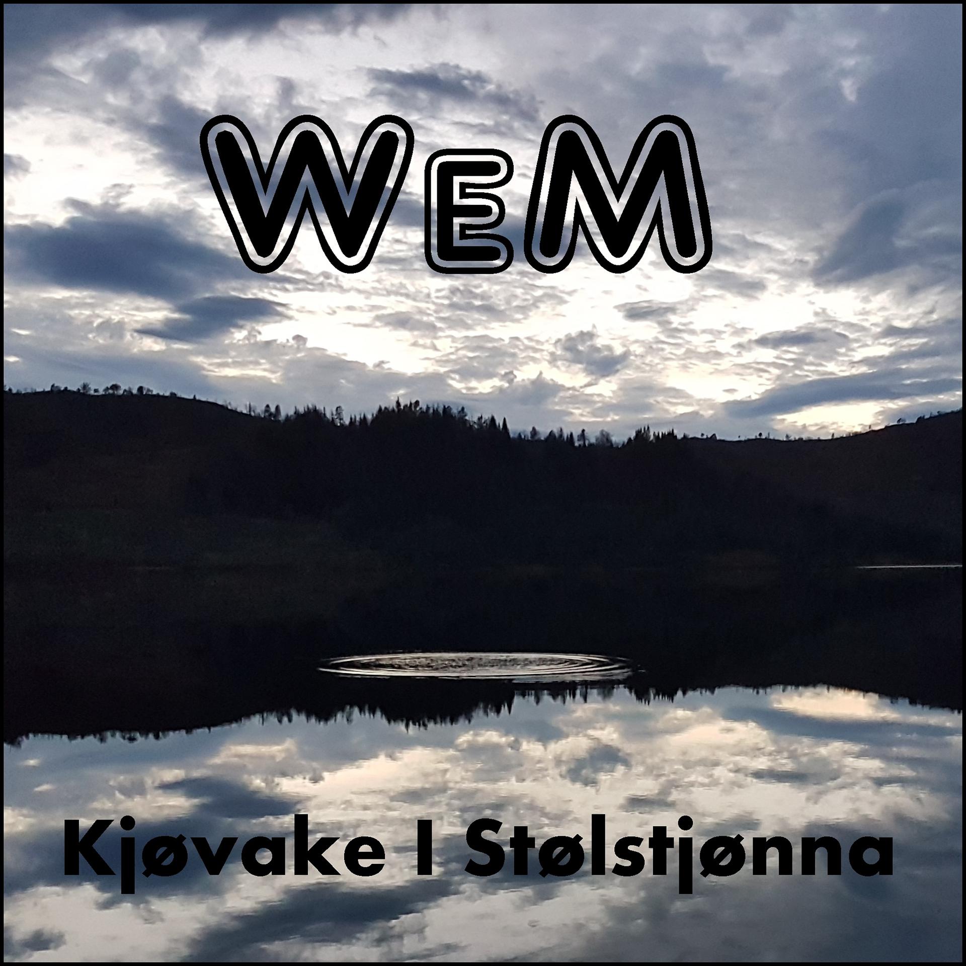 Постер альбома Kjøvake i Stølstjønna