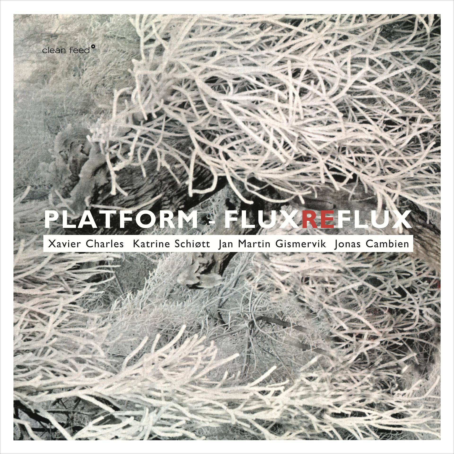 Постер альбома Flux Reflux
