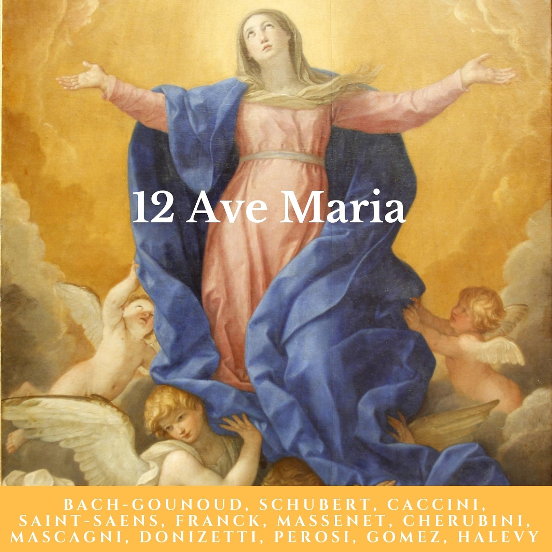 Постер альбома 12 Ave Maria