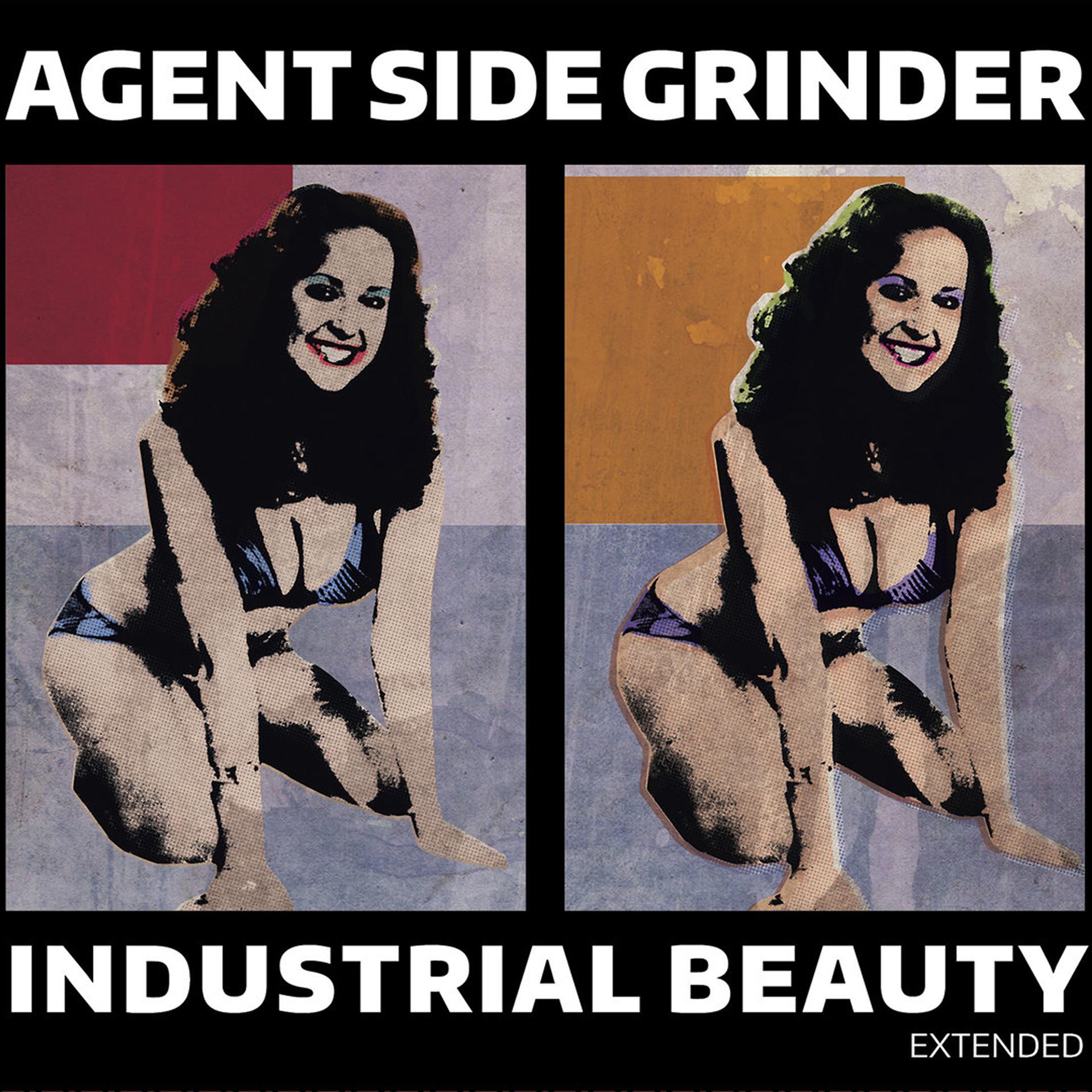Постер альбома Industrial Beauty Extended
