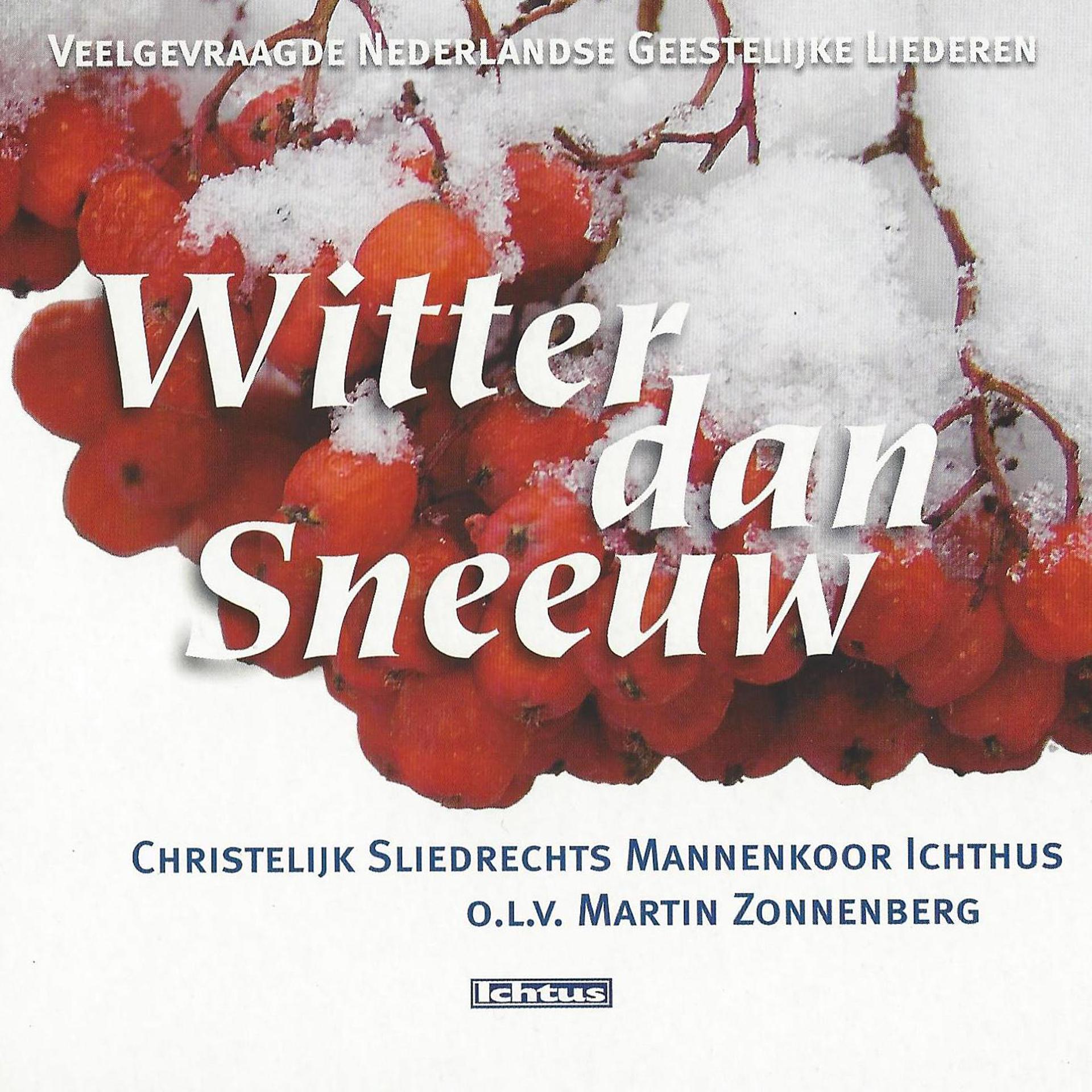 Постер альбома Witter Dan Sneeuw