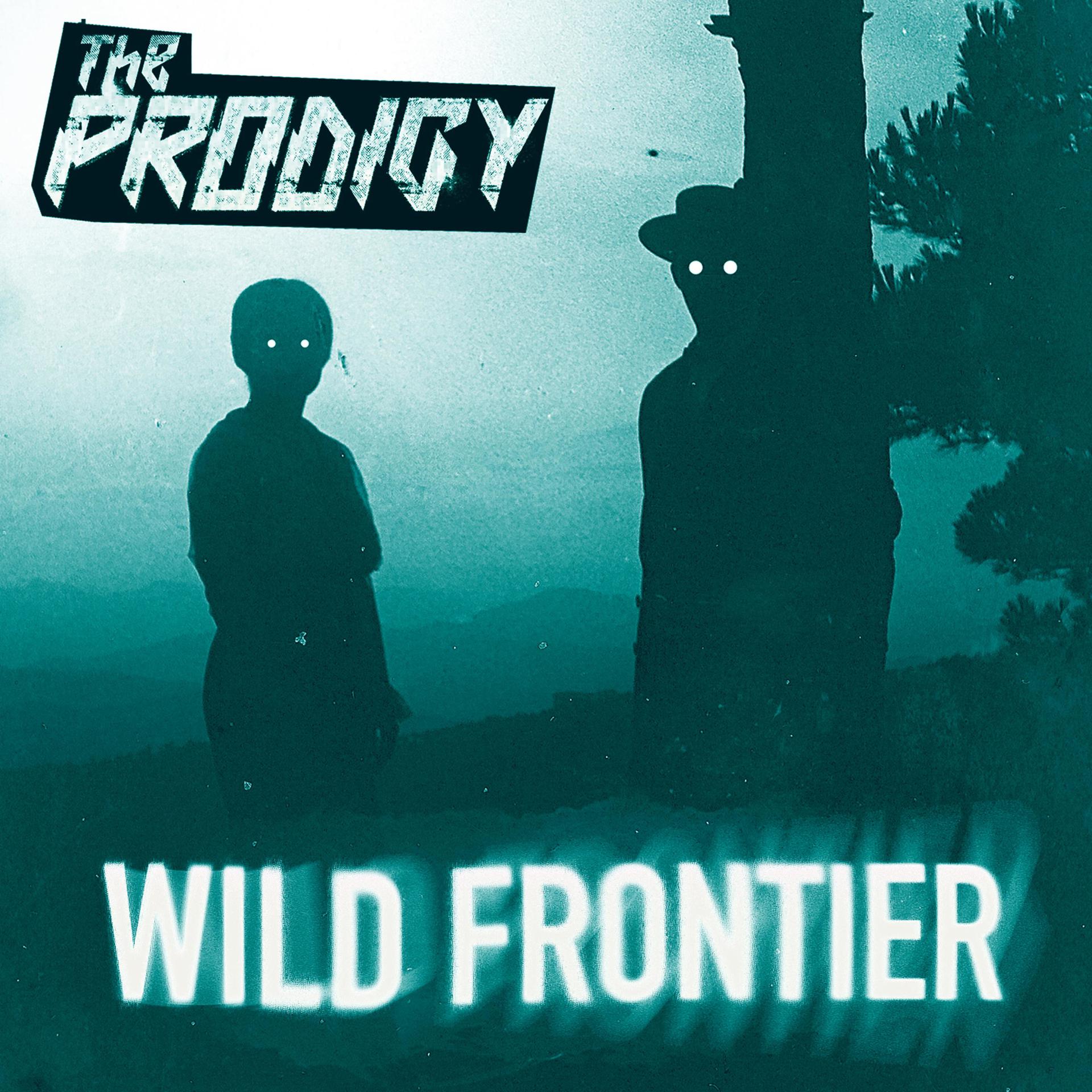 Постер альбома Wild Frontier (Remixes)