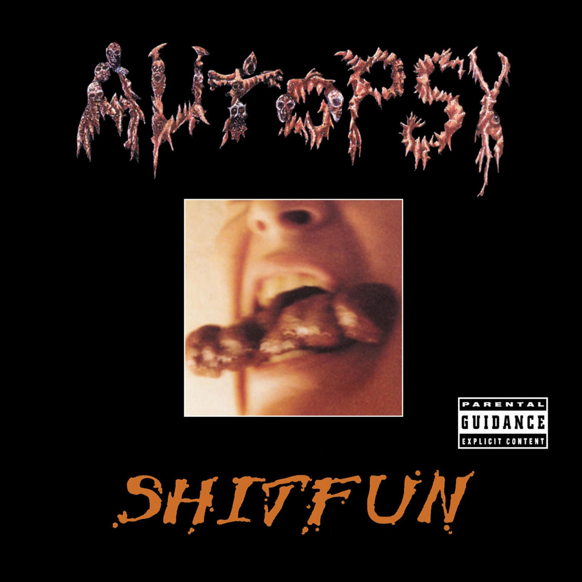 Постер альбома Shitfun