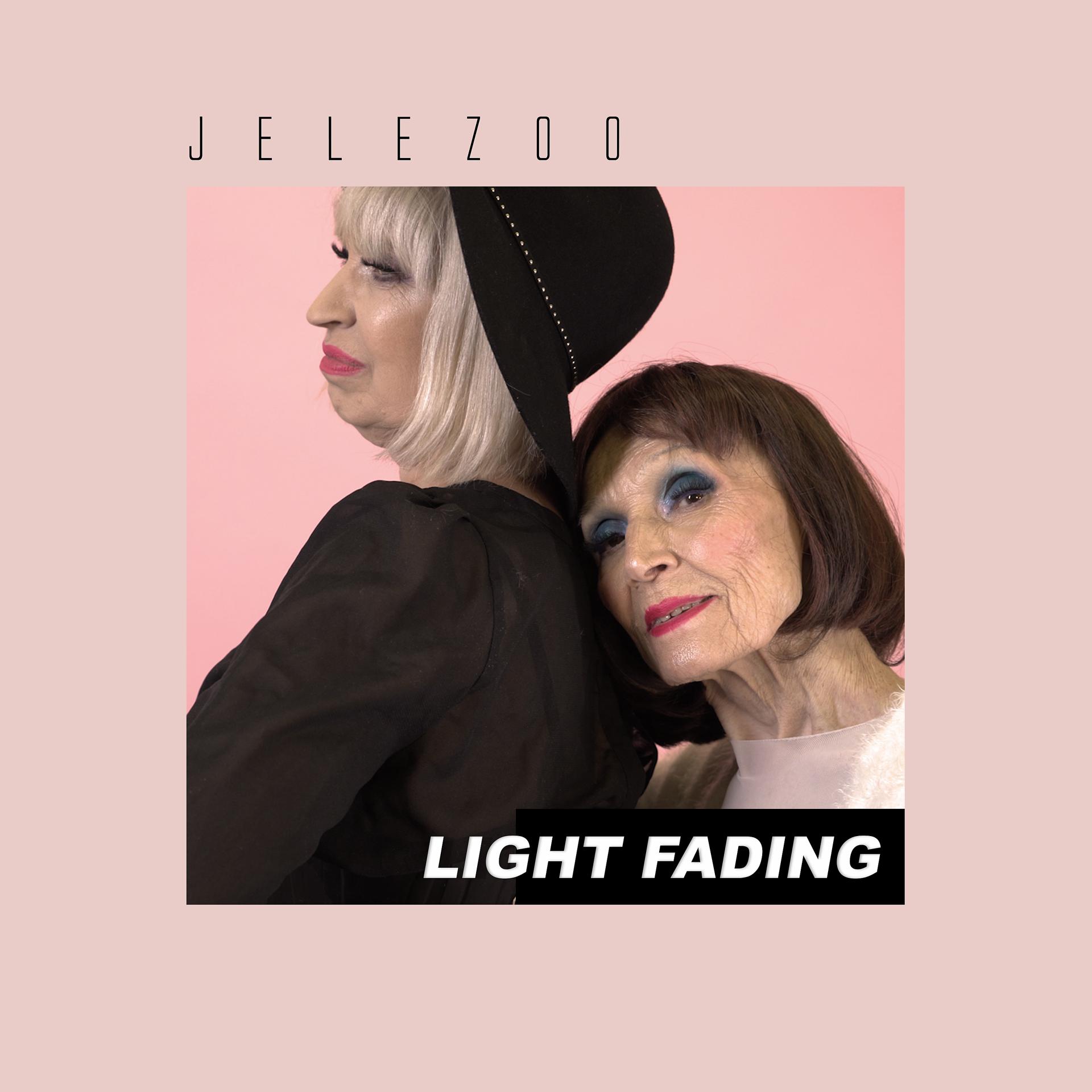 Постер альбома Light Fading