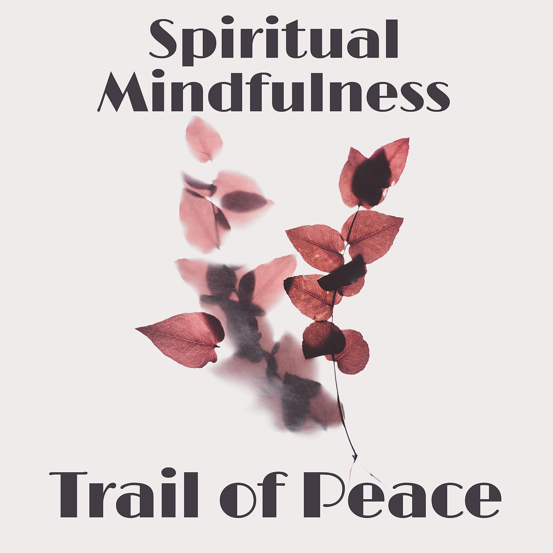 Постер альбома Spiritual Mindfulness: Trail of Peace - Remove Negative Thoughts & Deep Meditation, Sleep, Yoga