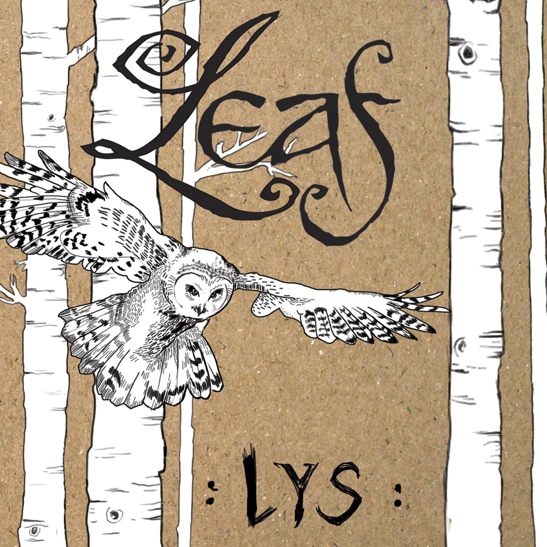 Постер альбома LYS