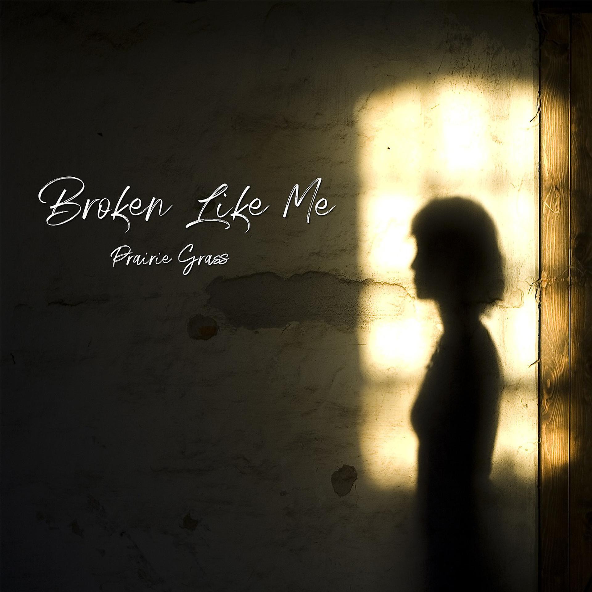 Постер альбома Broken Like Me