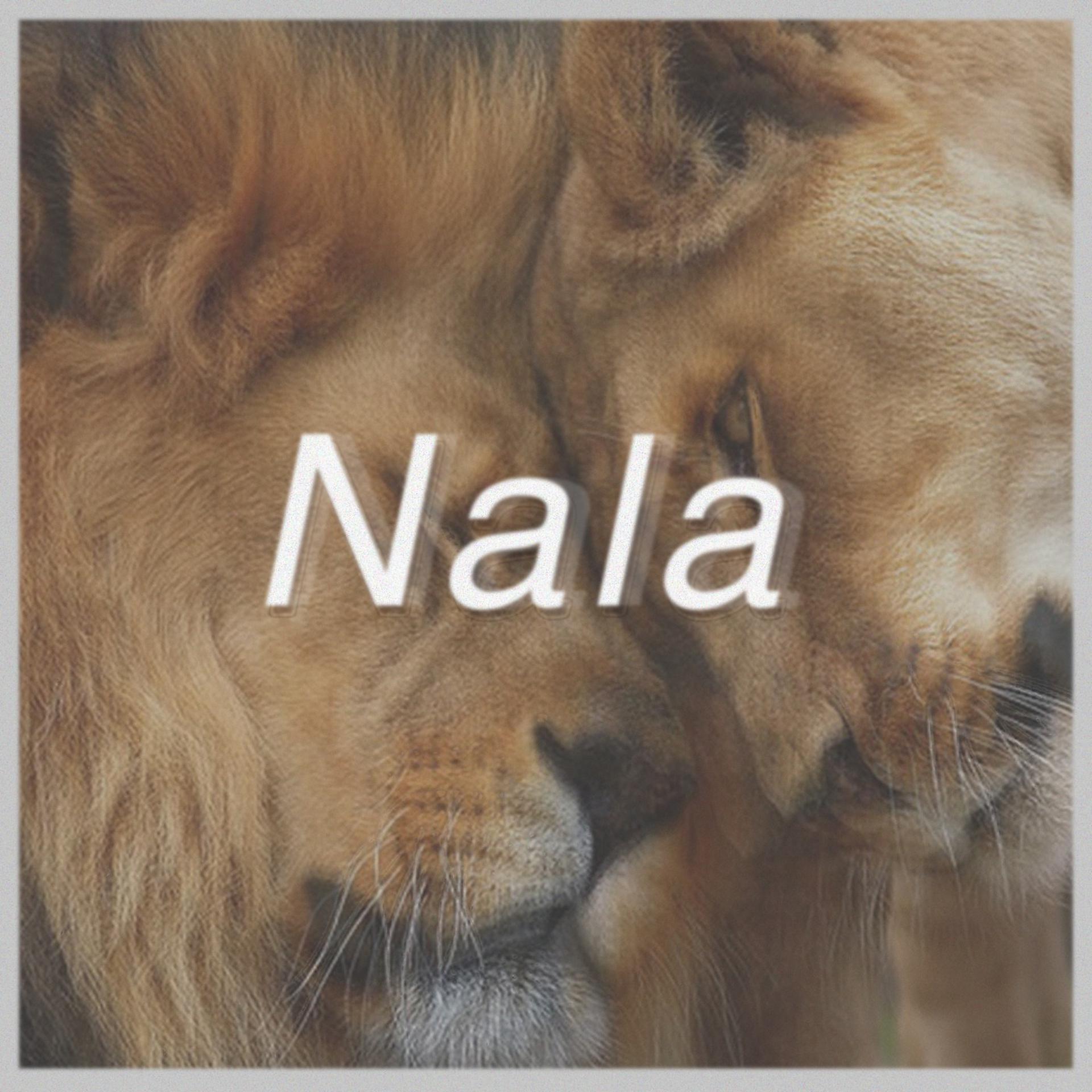 Постер альбома Nala