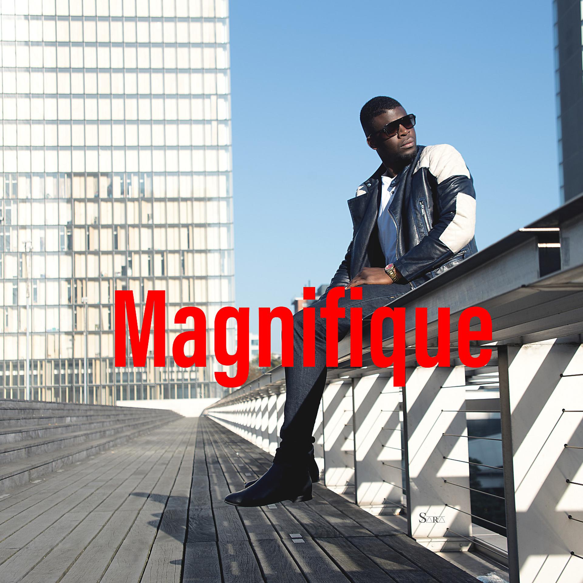 Постер альбома Magnifique