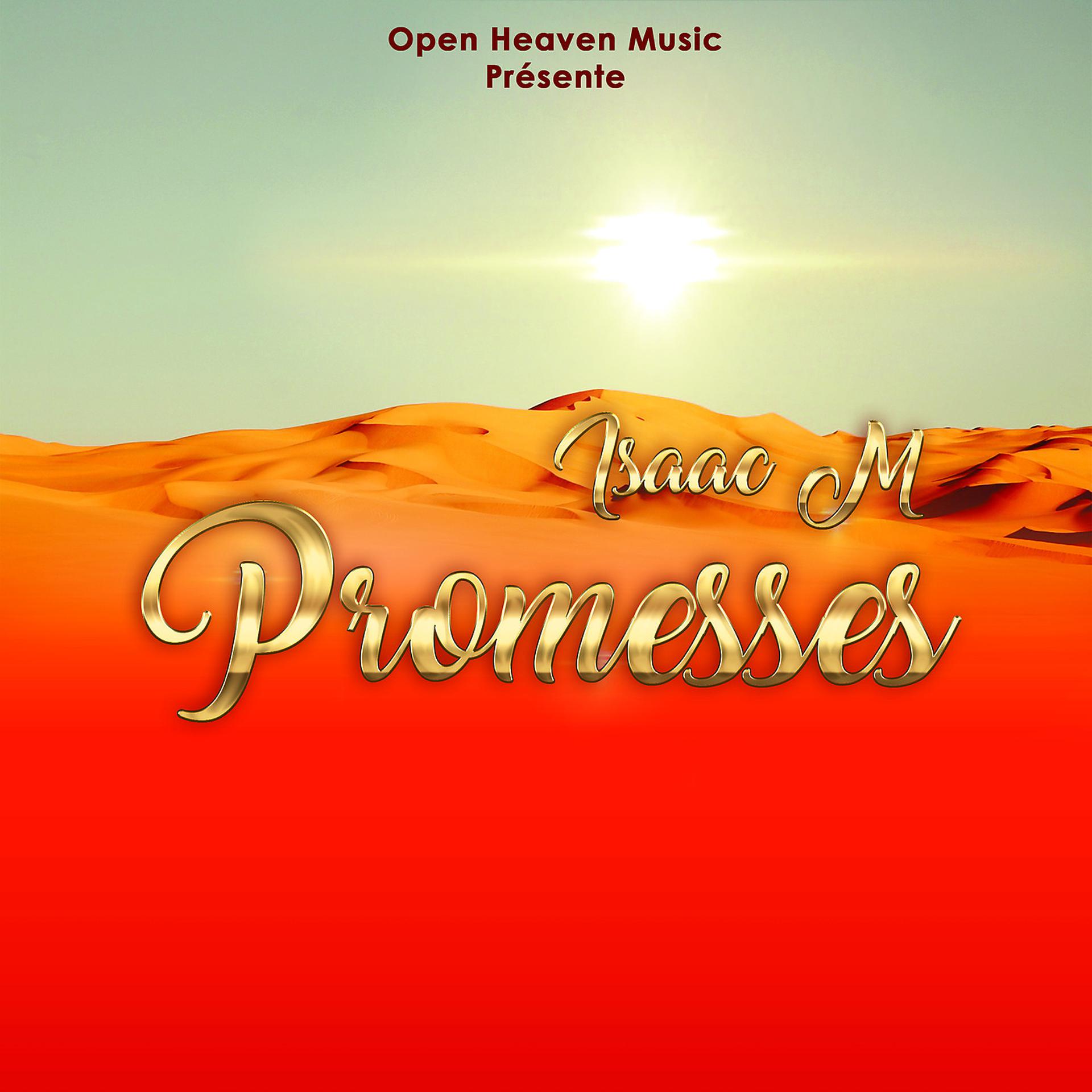 Постер альбома Promesses