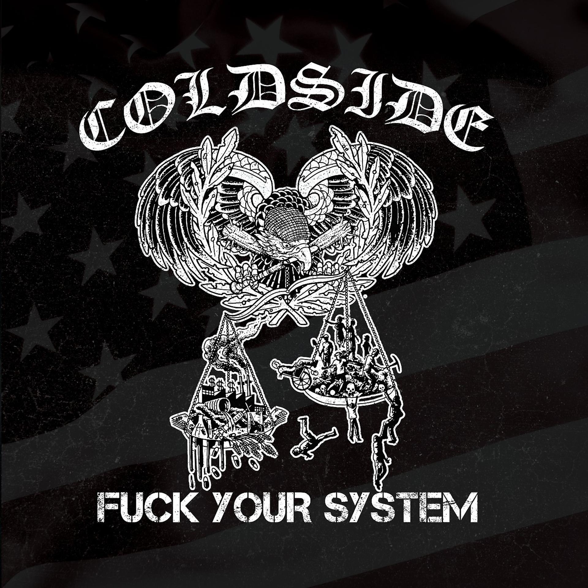 Постер альбома Fuck Your System