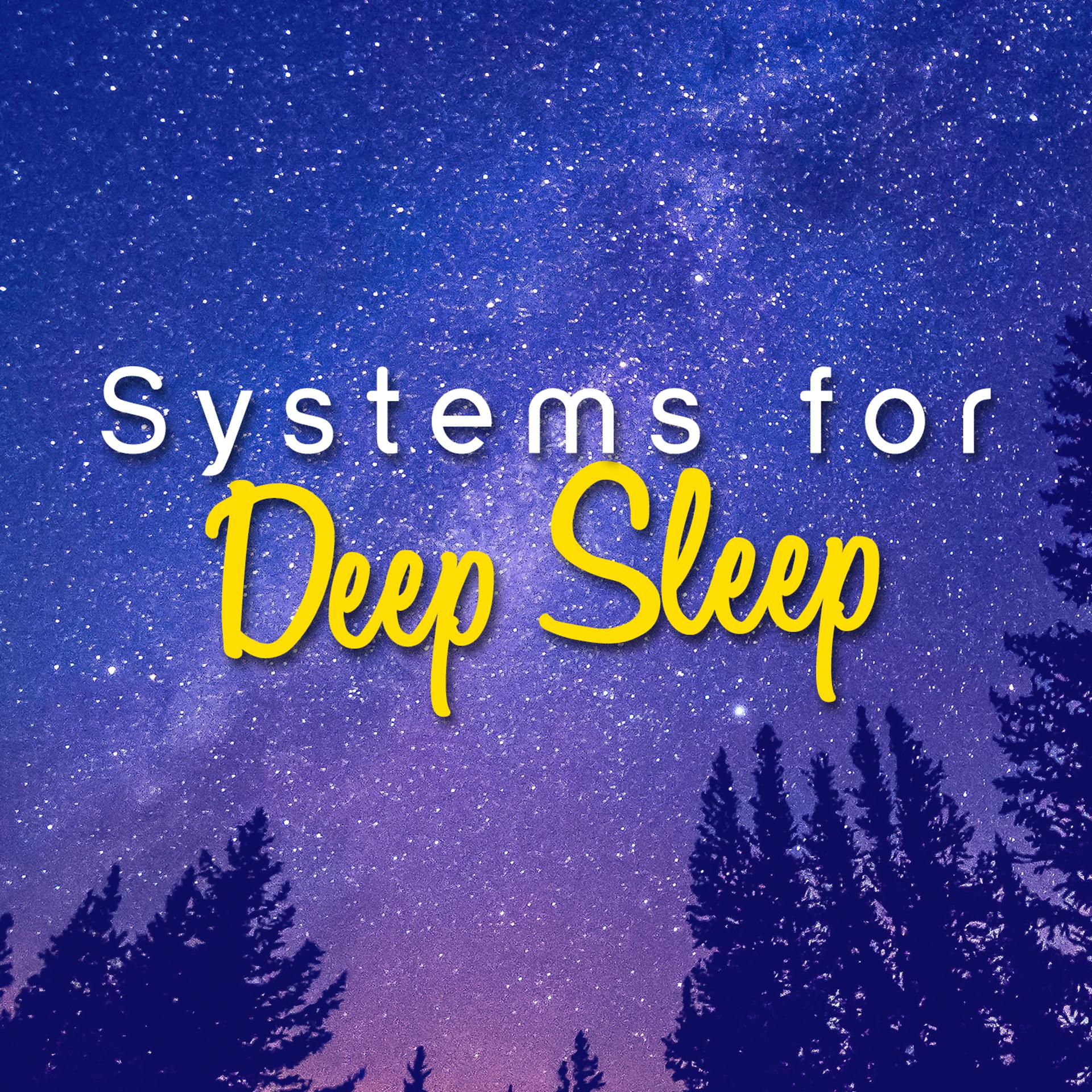 Постер альбома Systems for Deep Sleep