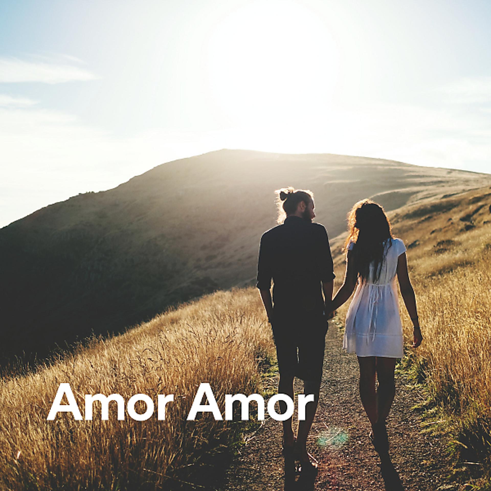 Постер альбома Amor Amor - Música para Amar
