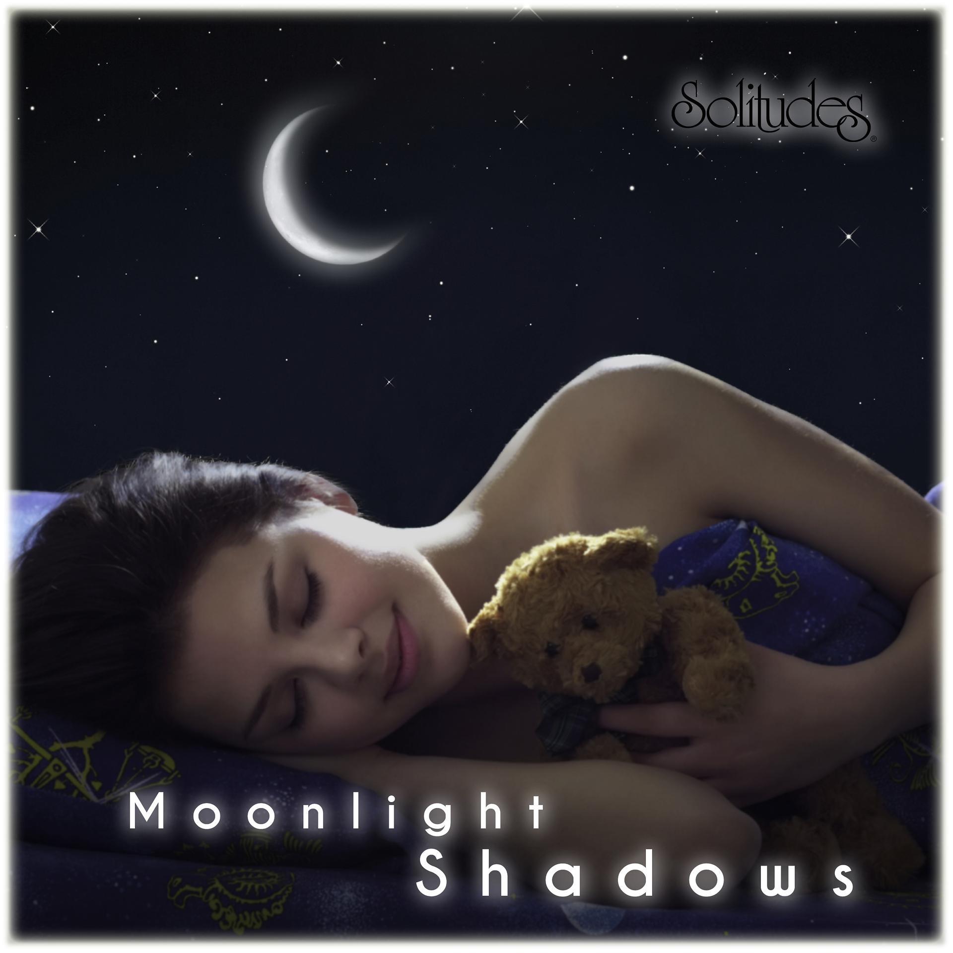 Постер альбома Moonlight Shadows