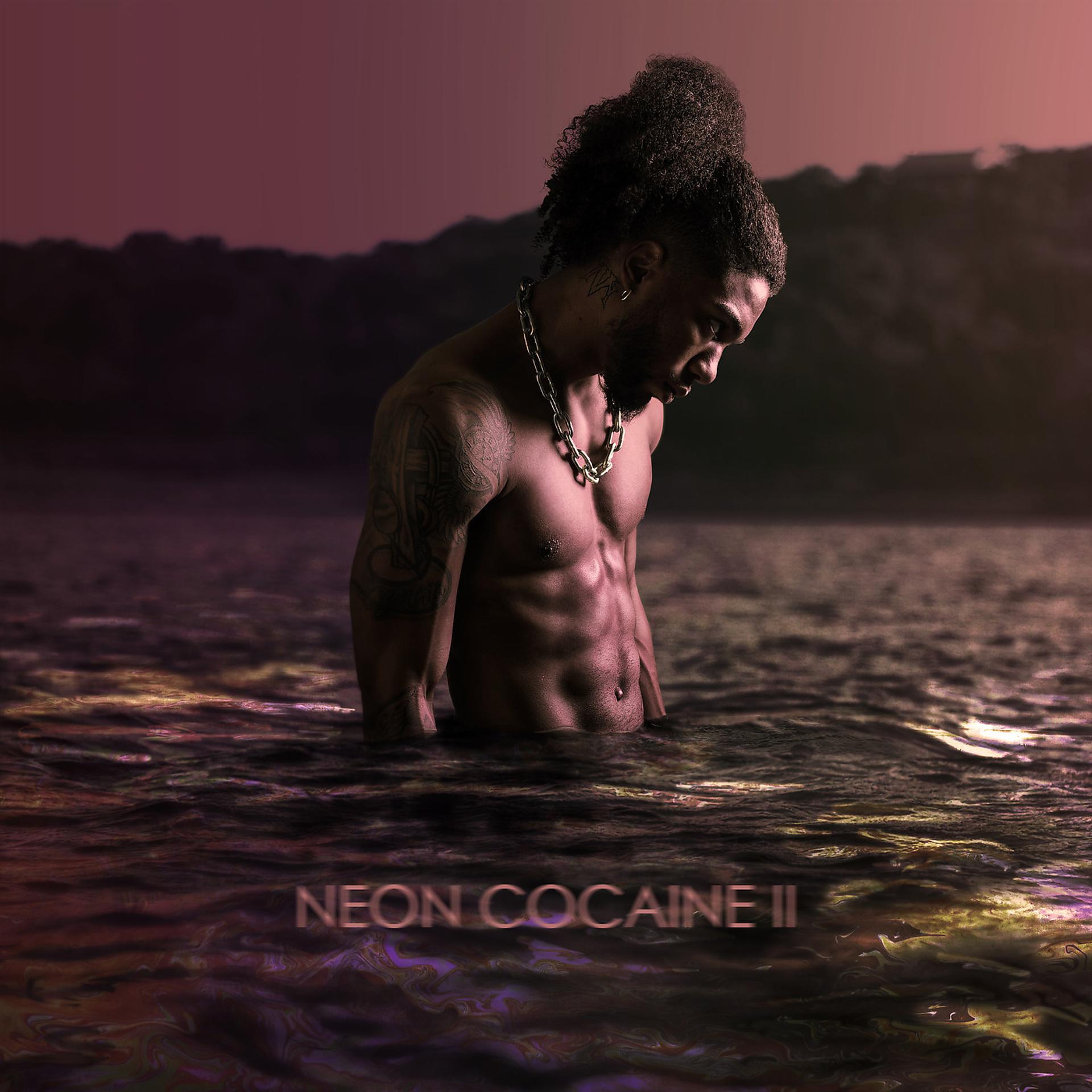 Постер альбома Neon Cocaine II